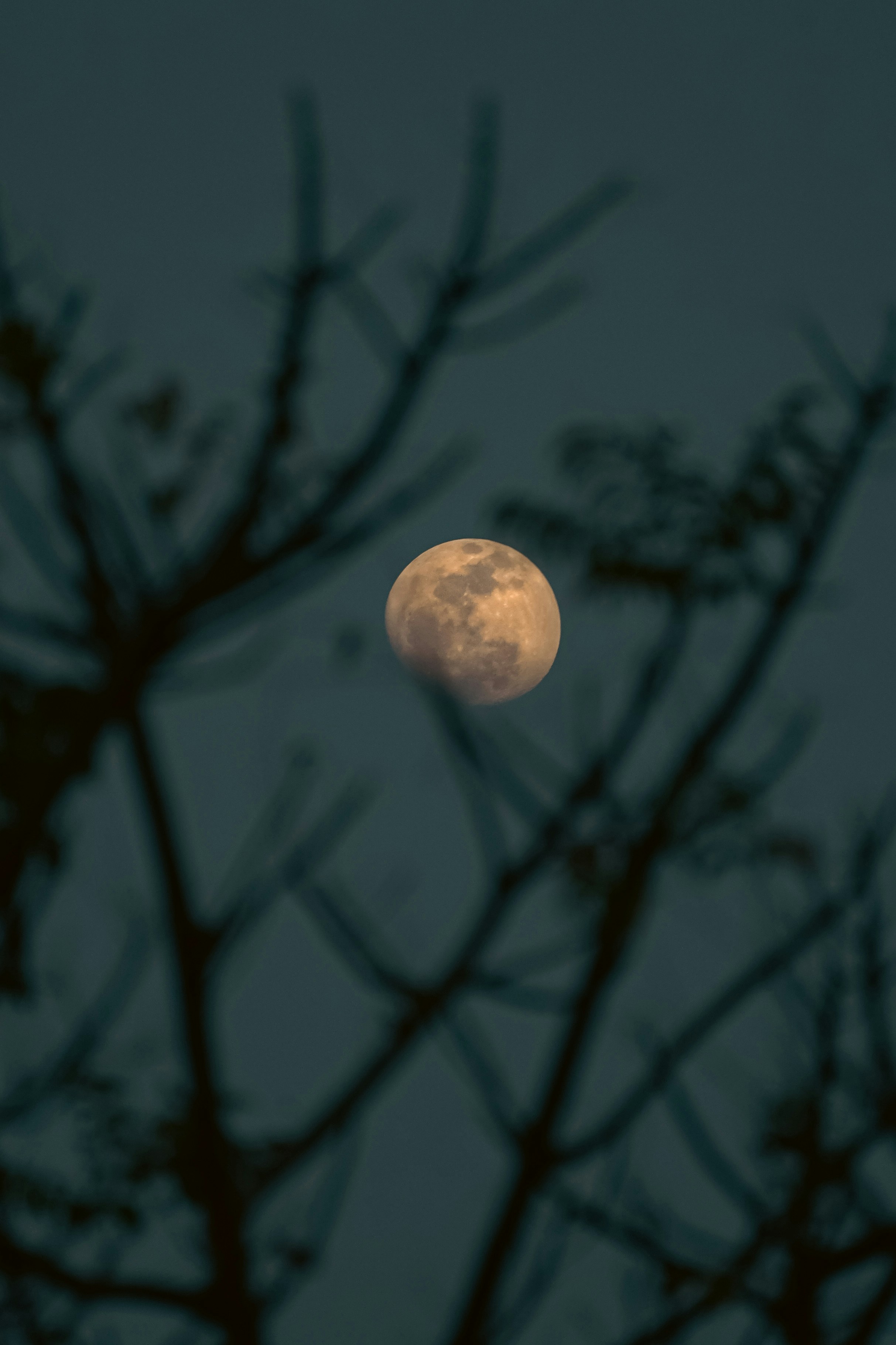 Photo by ravphotoshot