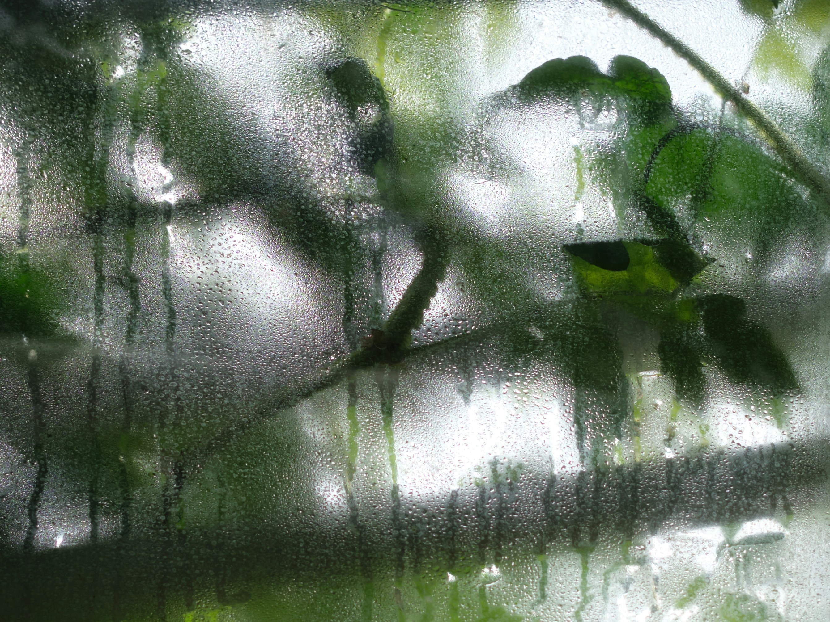 Photo by joshuakettle