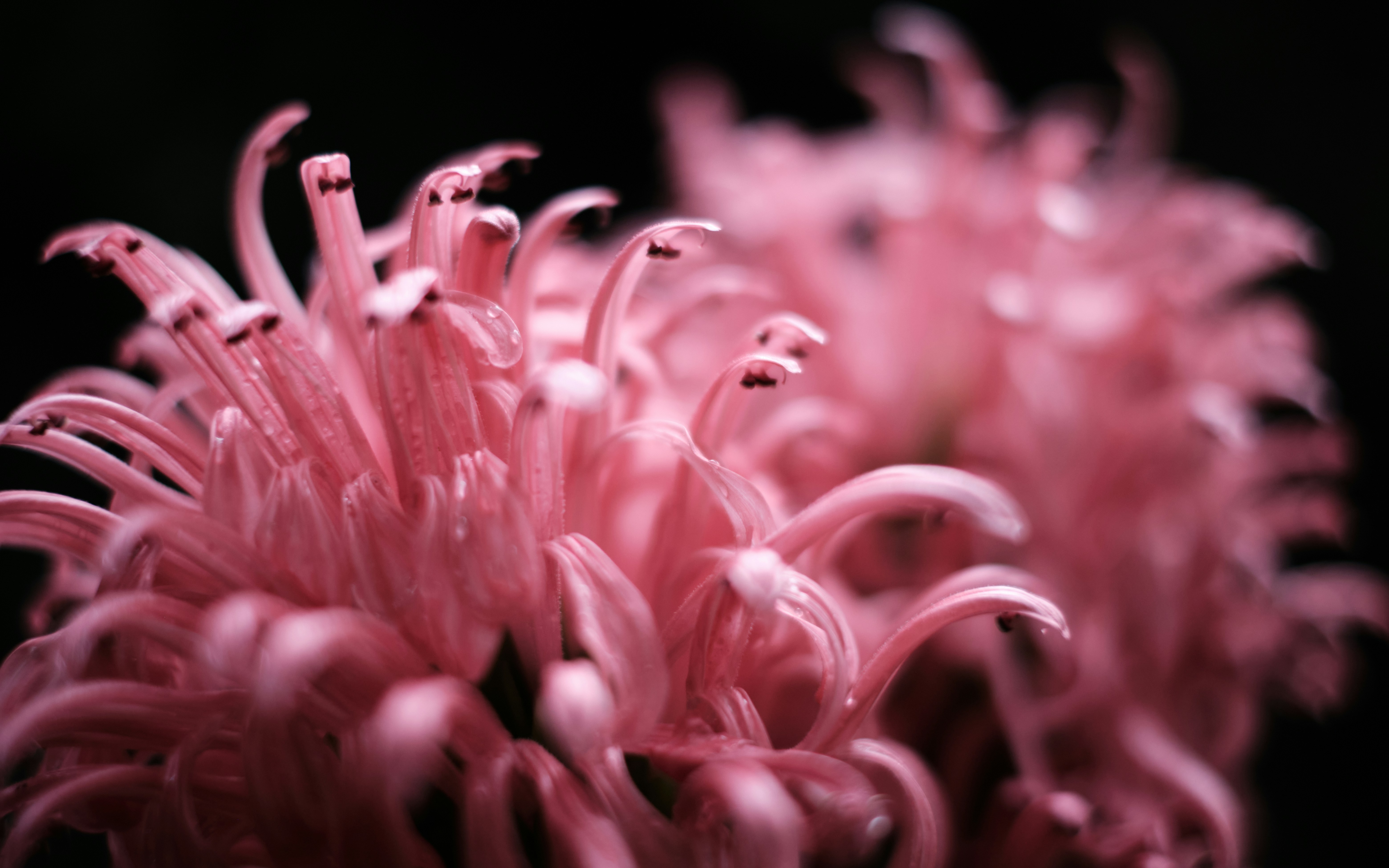 Photo by joshuakettle