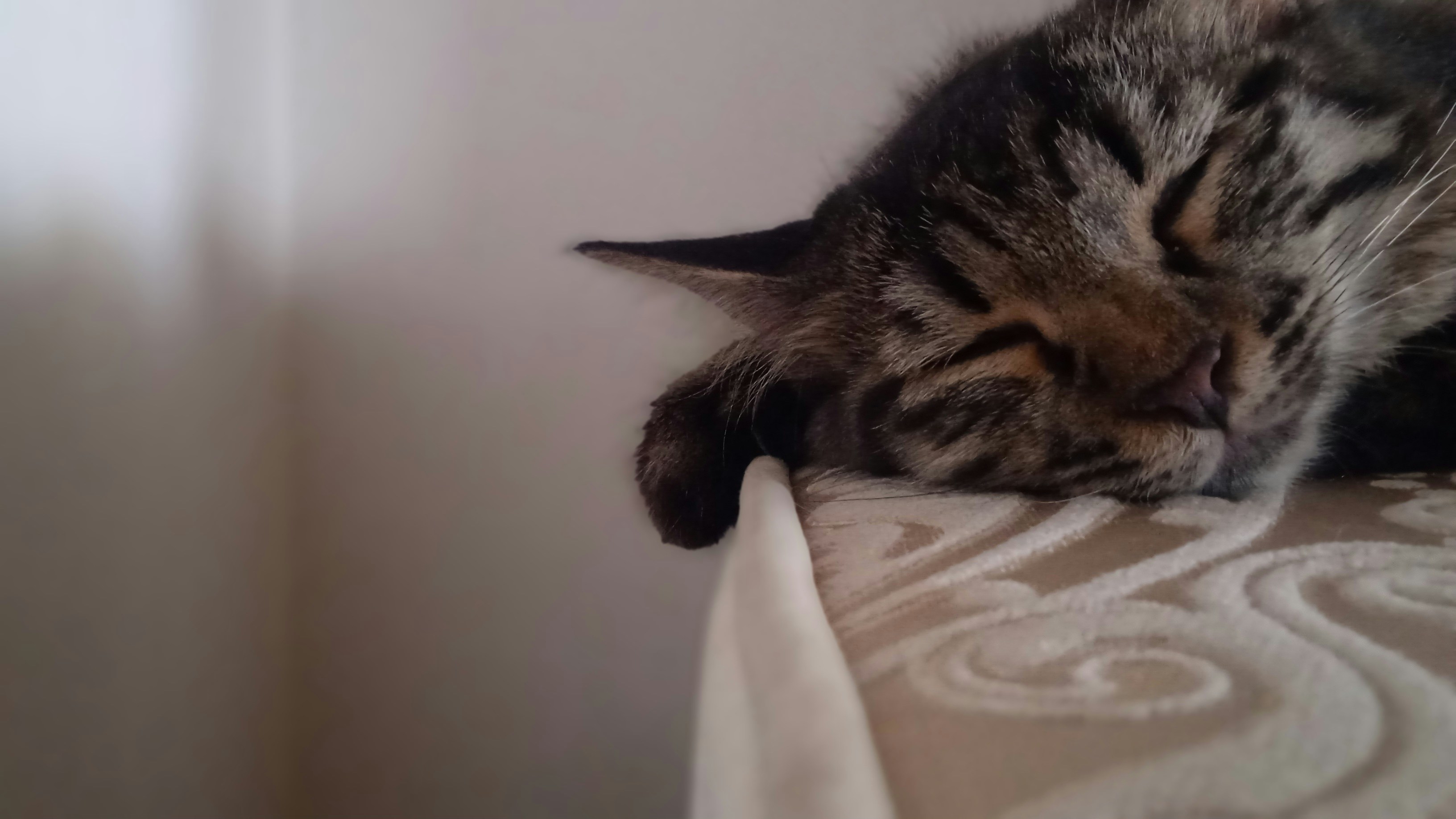 Photo by maryam_goli