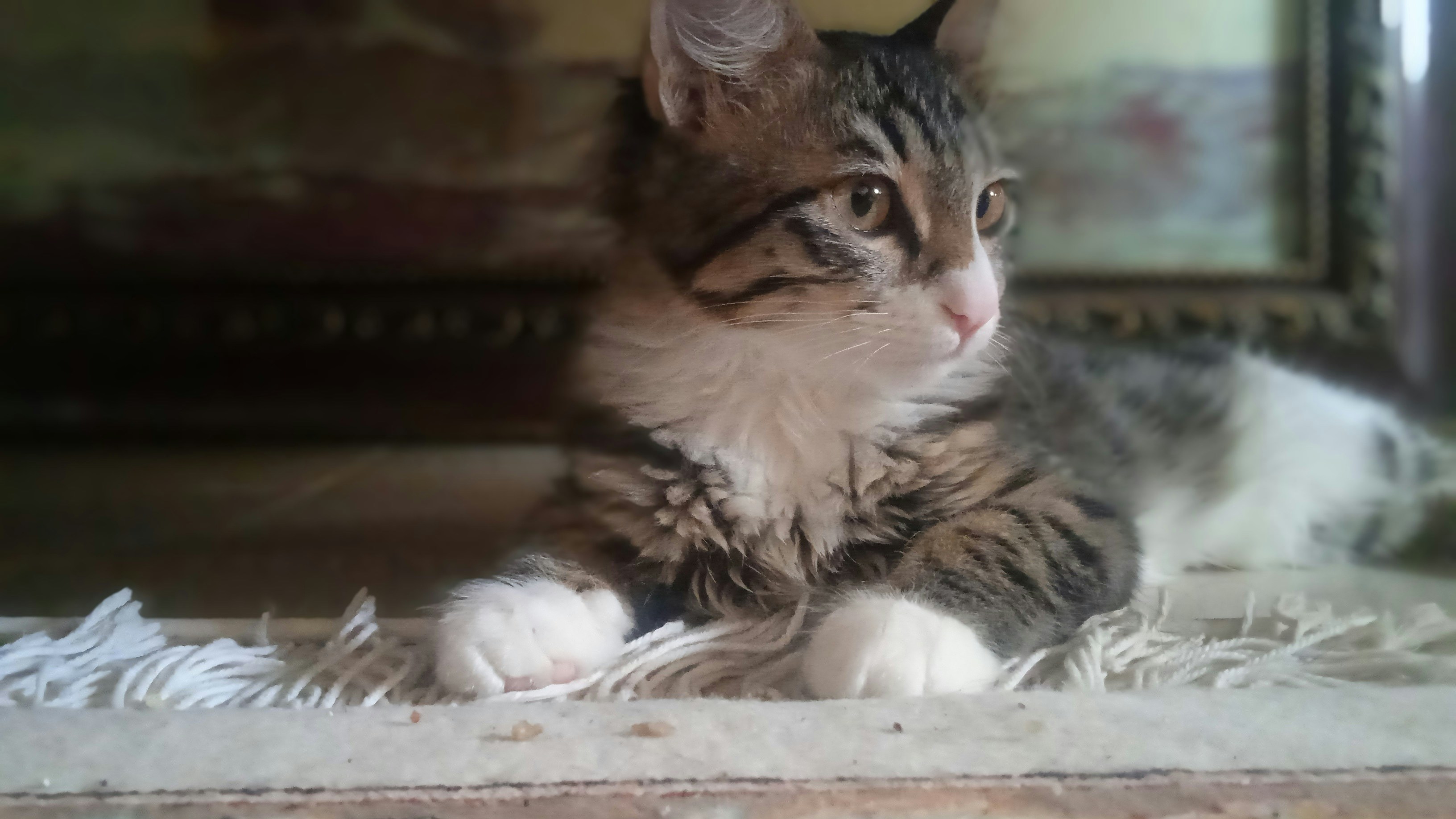 Photo by maryam_goli