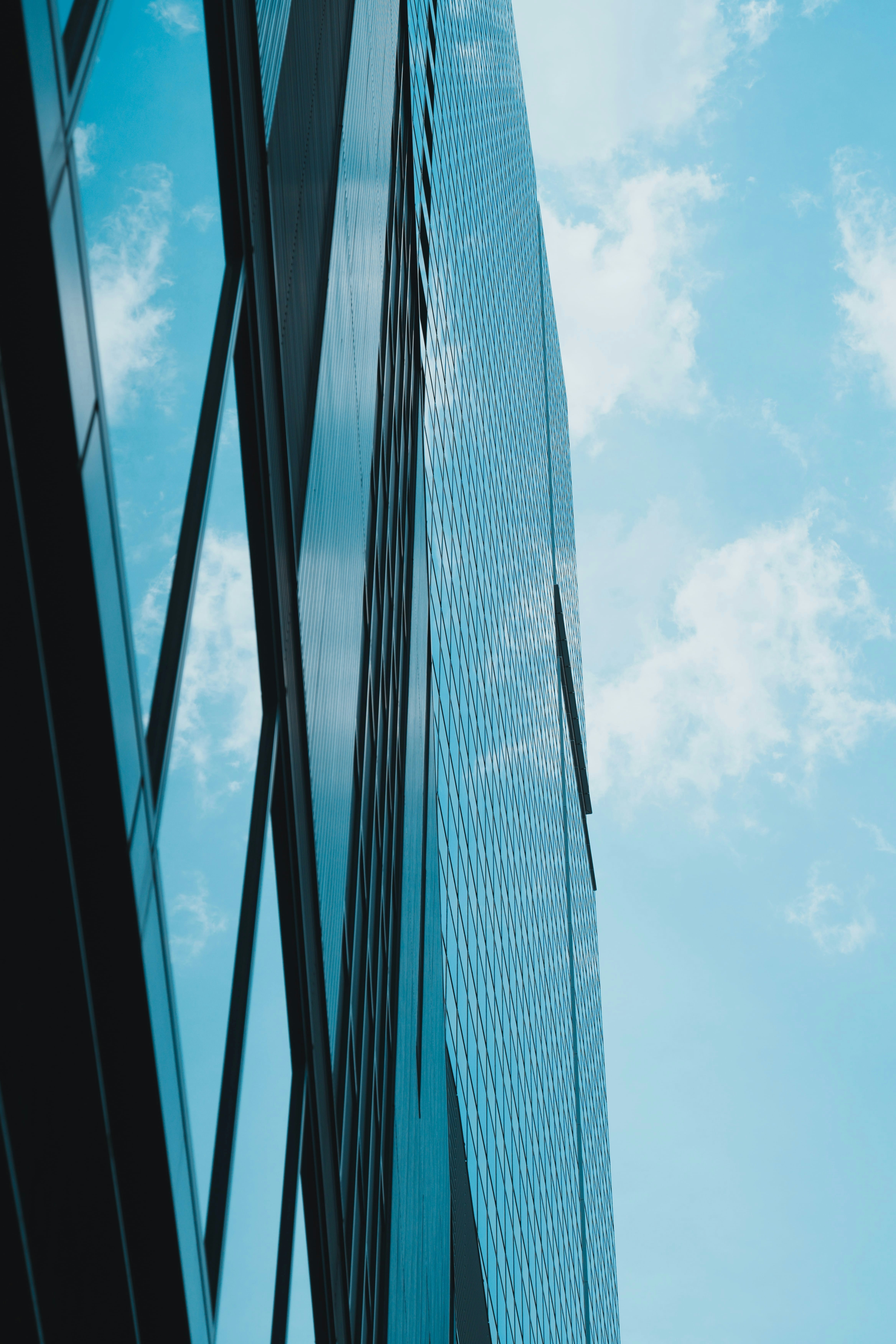 Photo by okuyama_leo