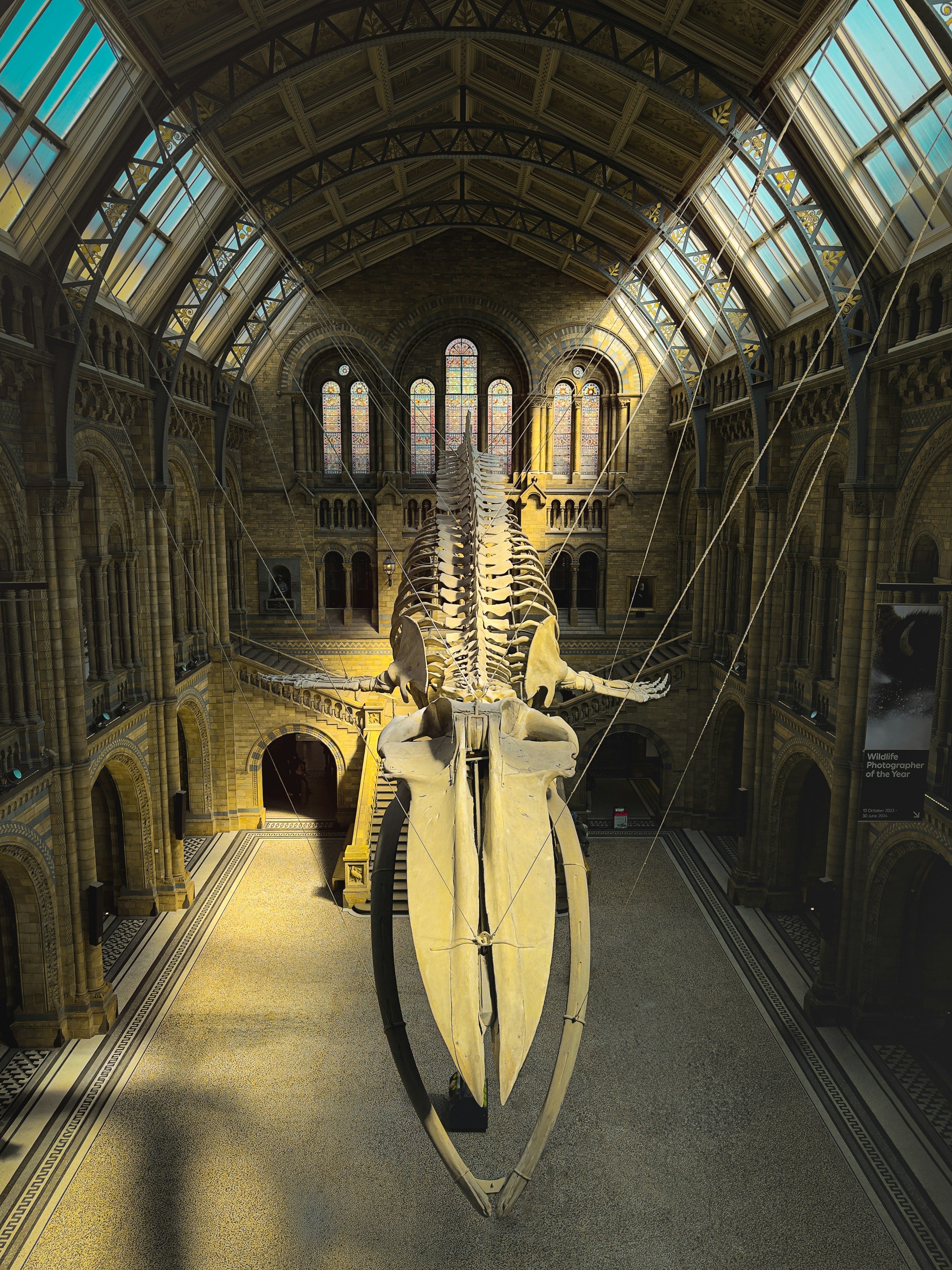 Photo by hackertronix