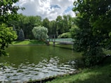 A lake surrounded by trees and a bridge