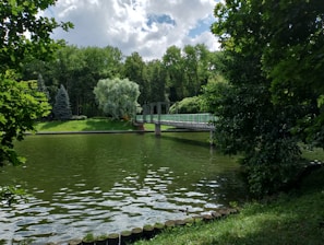 A lake surrounded by trees and a bridge