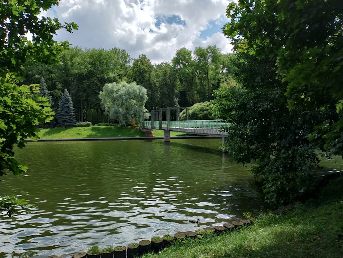 A lake surrounded by trees and a bridge