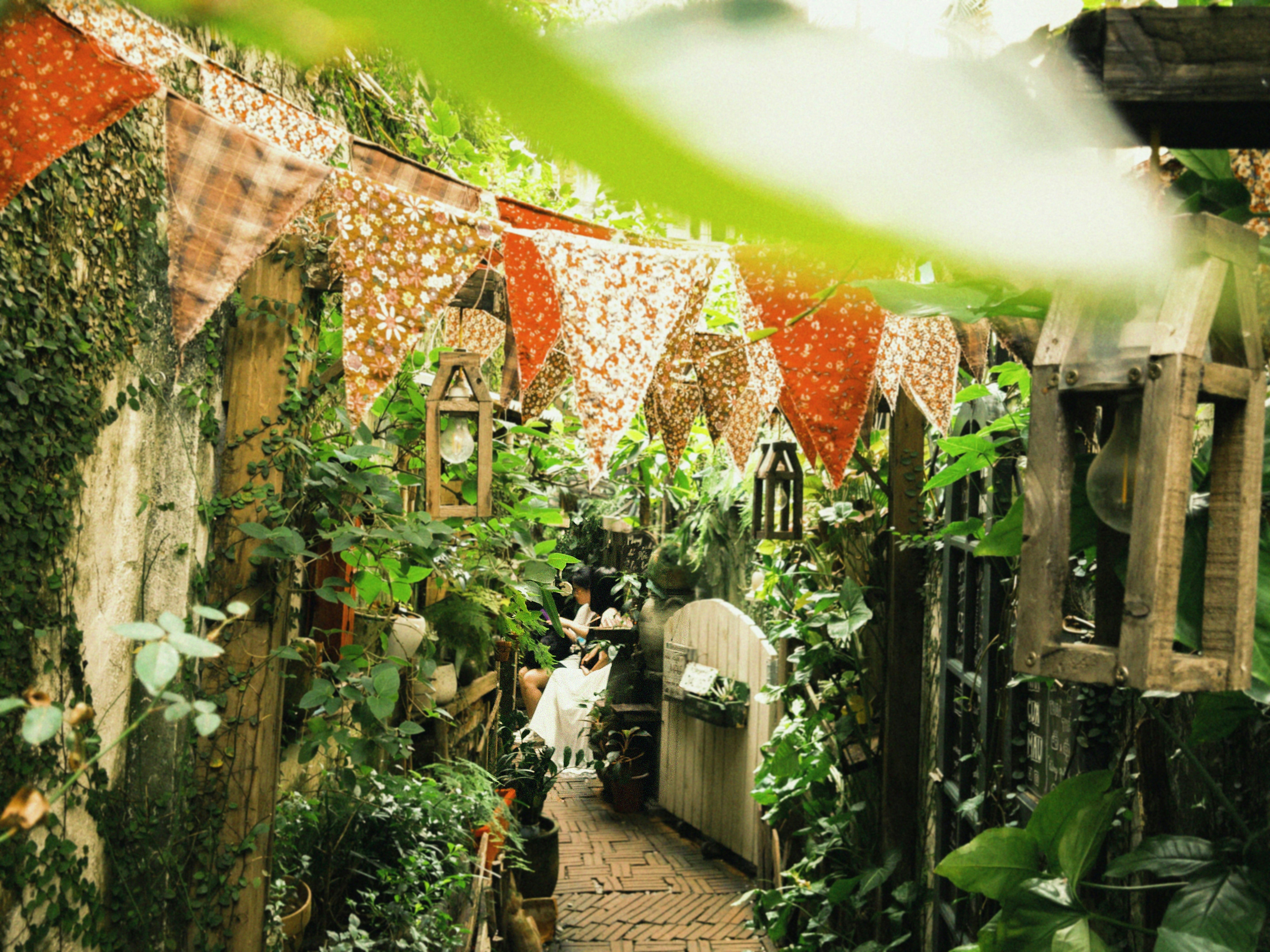 A garden filled with lots of green plants