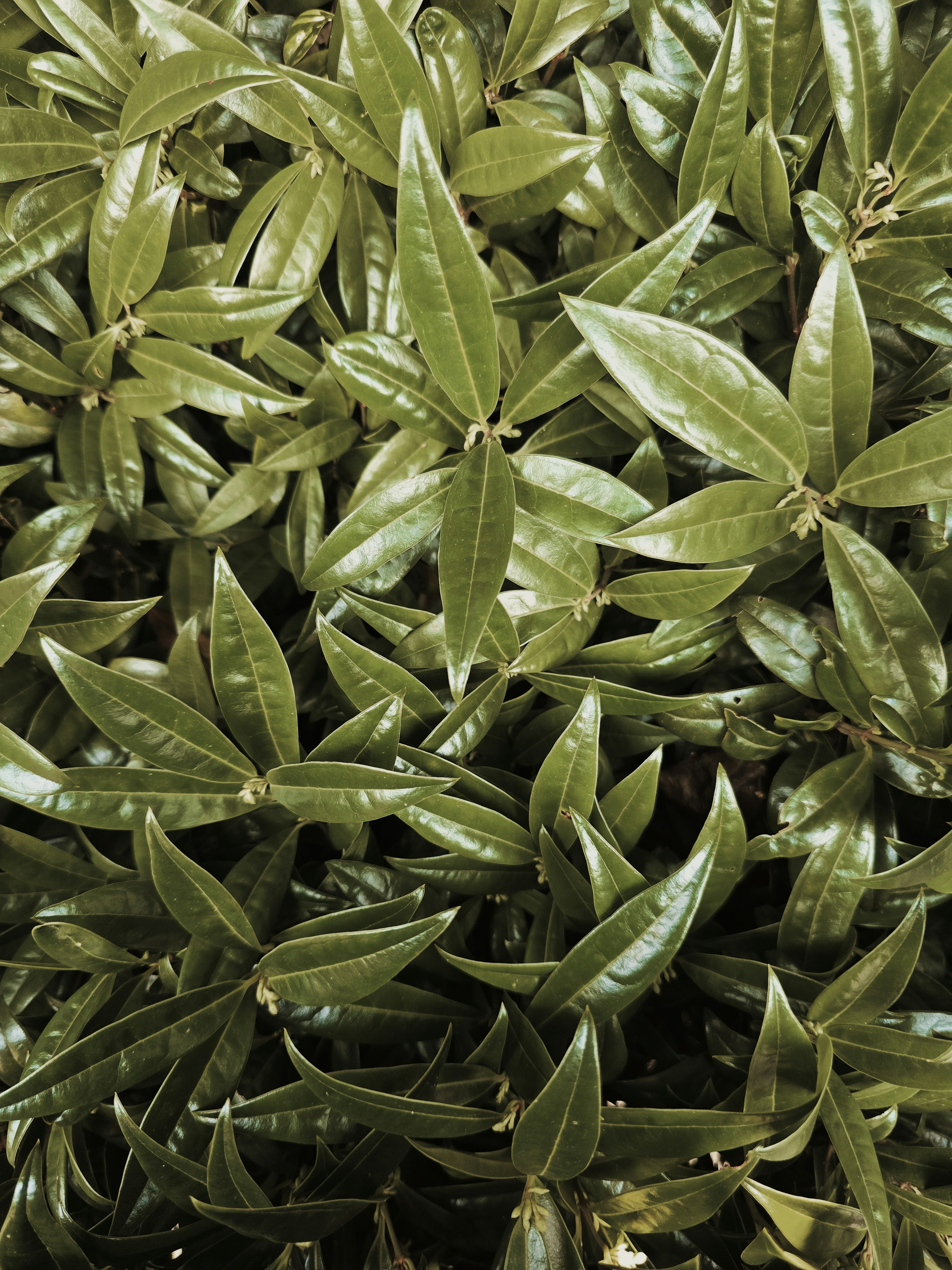 Photo by mehmetdemiral