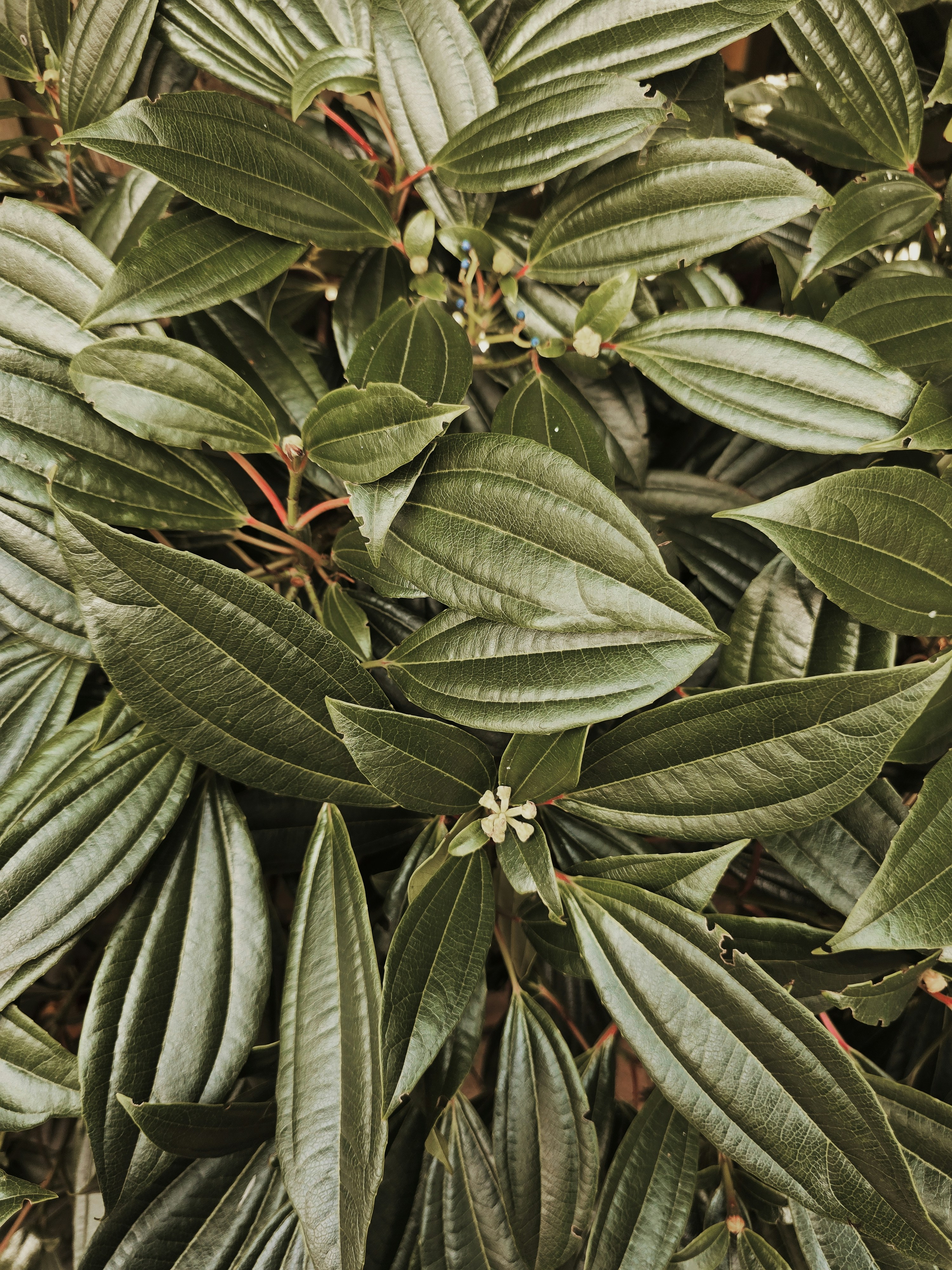 Photo by mehmetdemiral