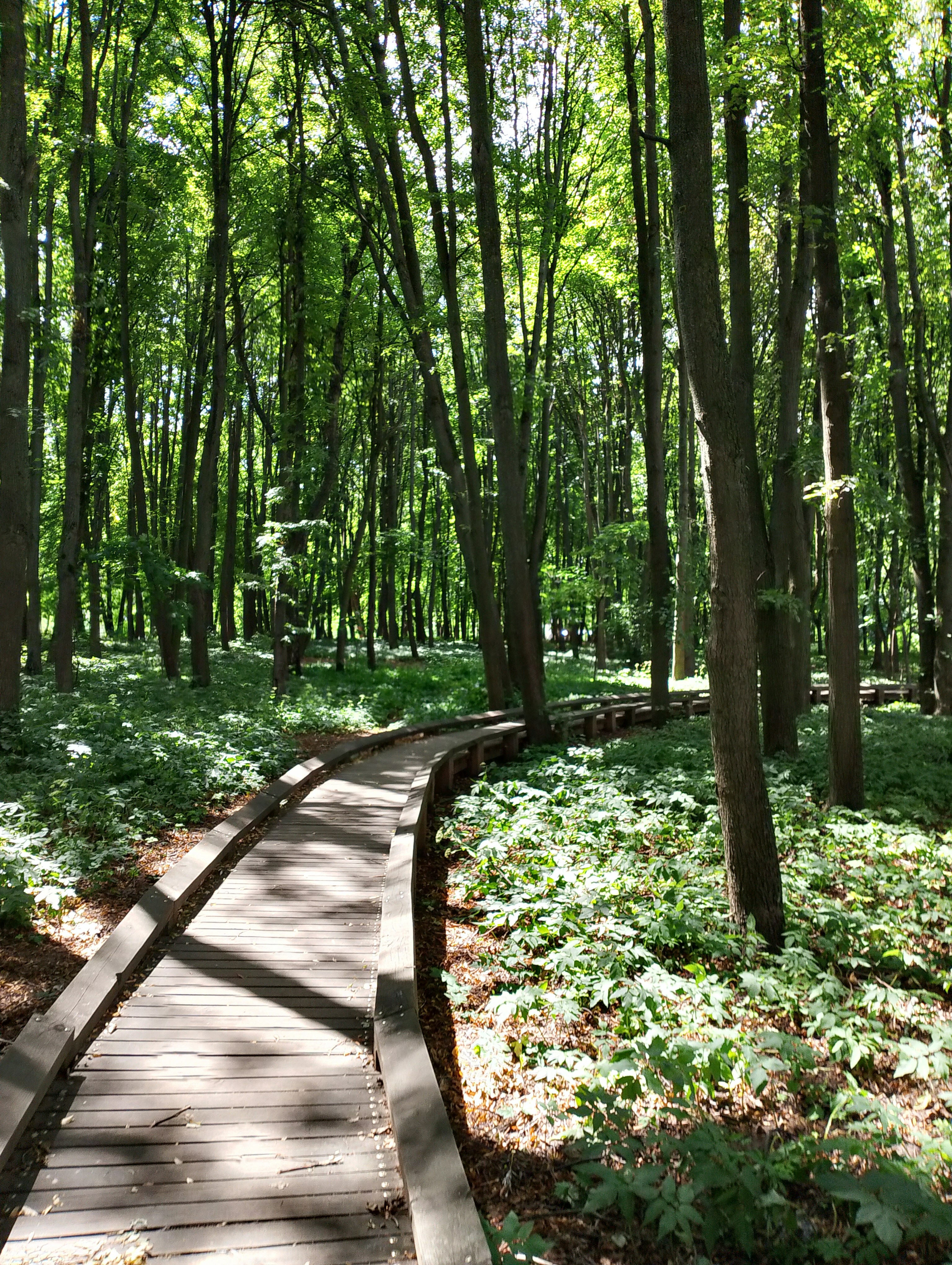 Photo by natallia_kz