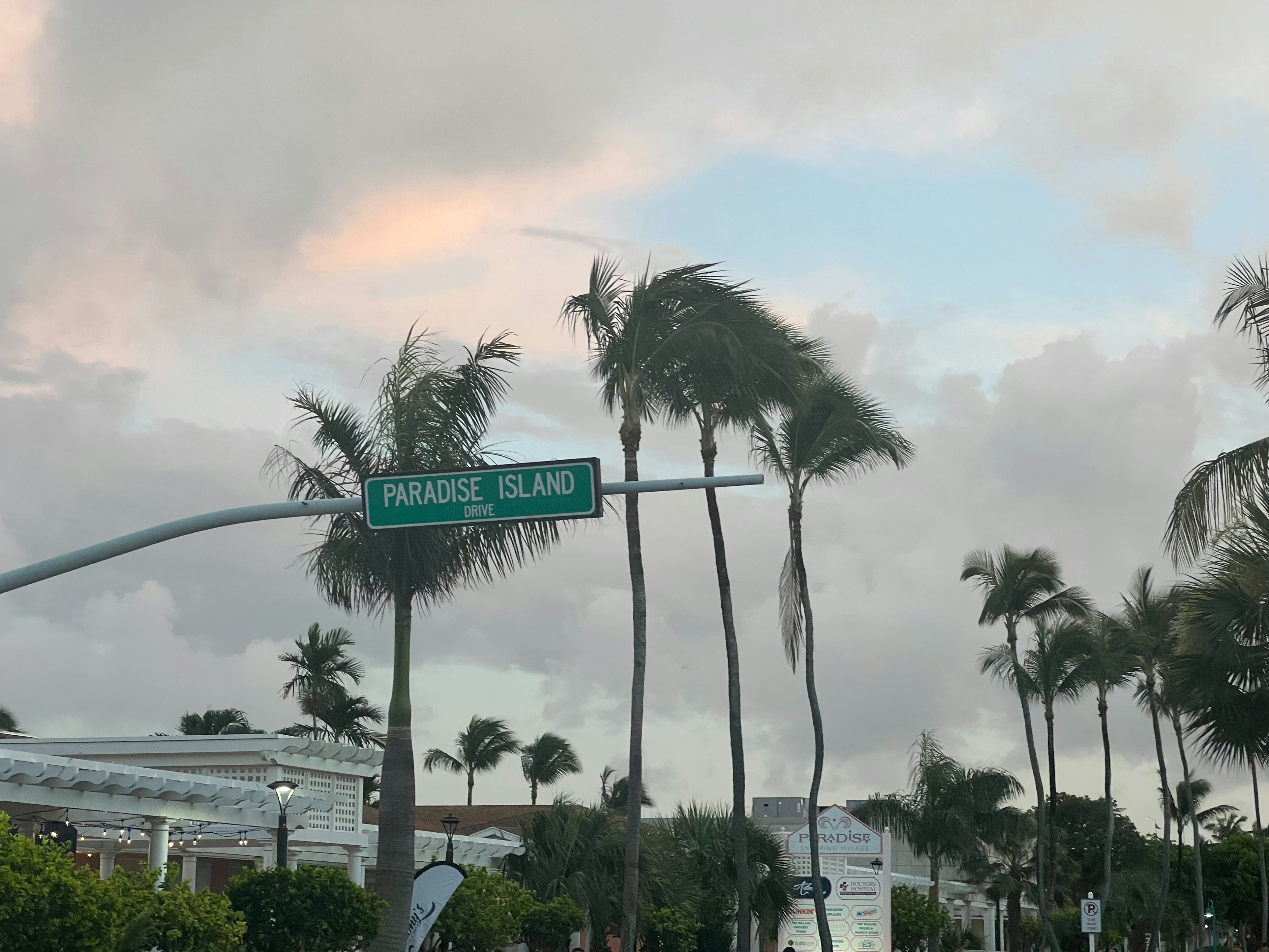 Florida's AI-Enhanced Hurricane Health Preparedness (image credits: unsplash)