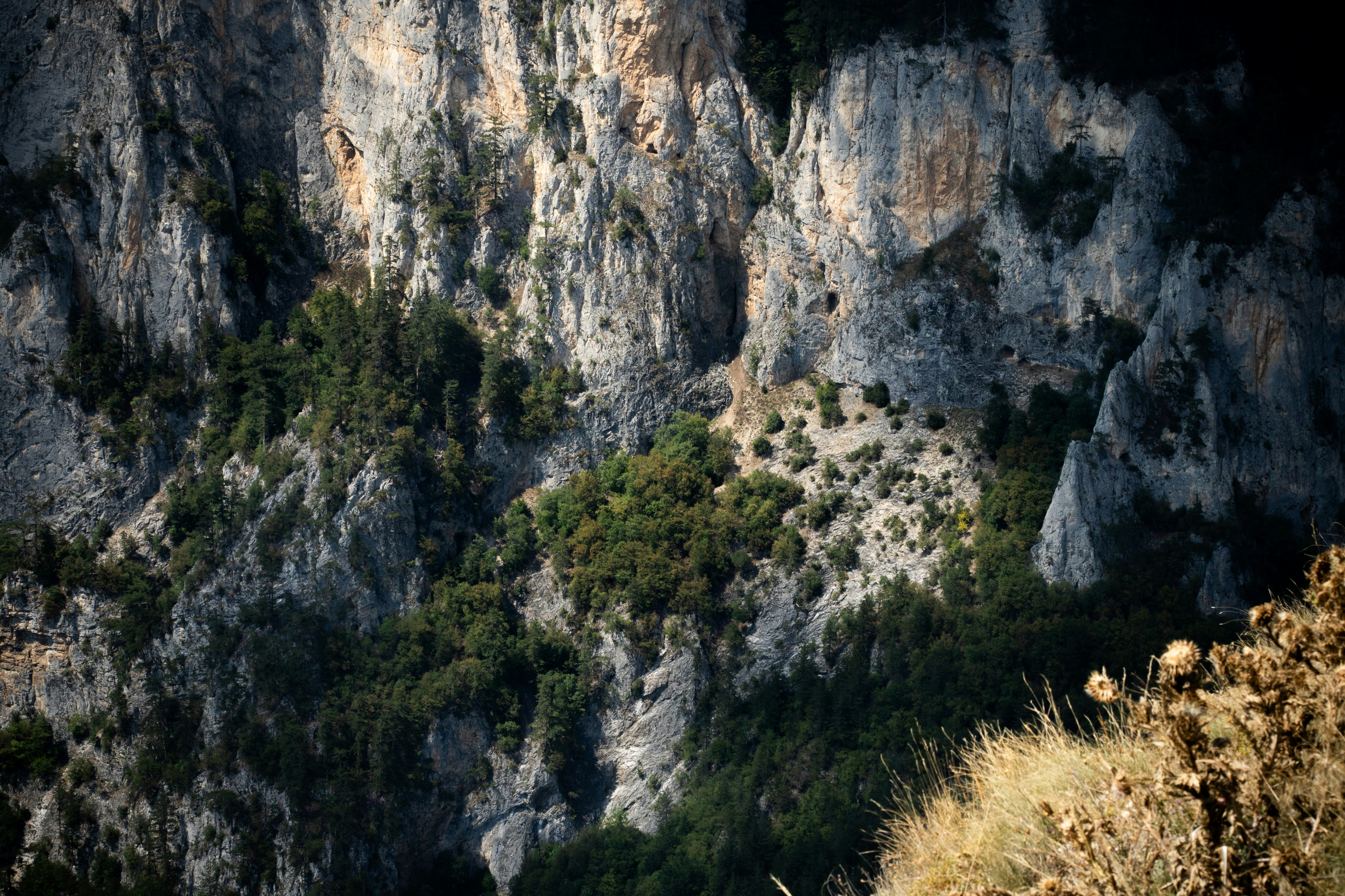A man riding a bike down a road next to a lush green hillside