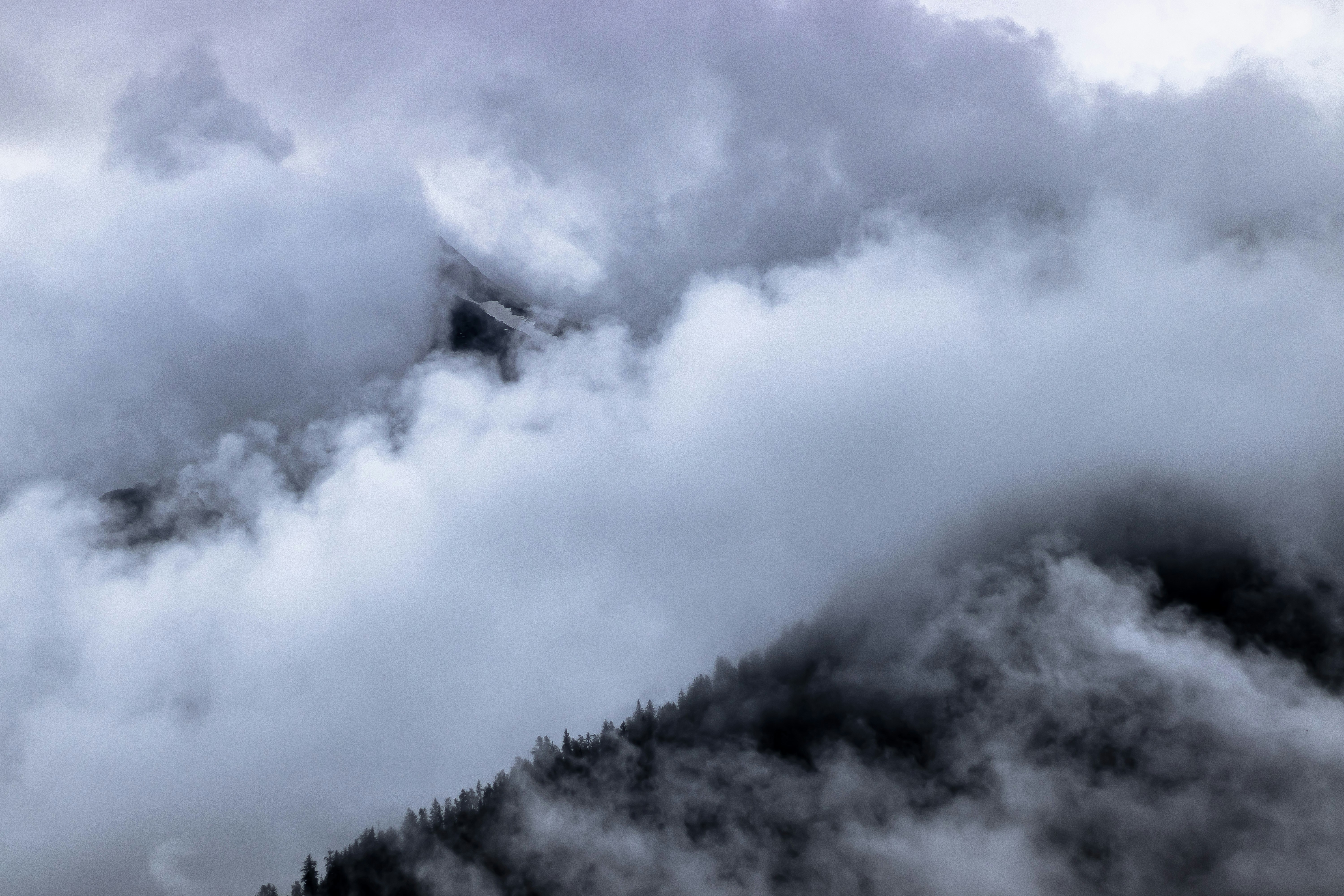 Photo by britosebastian