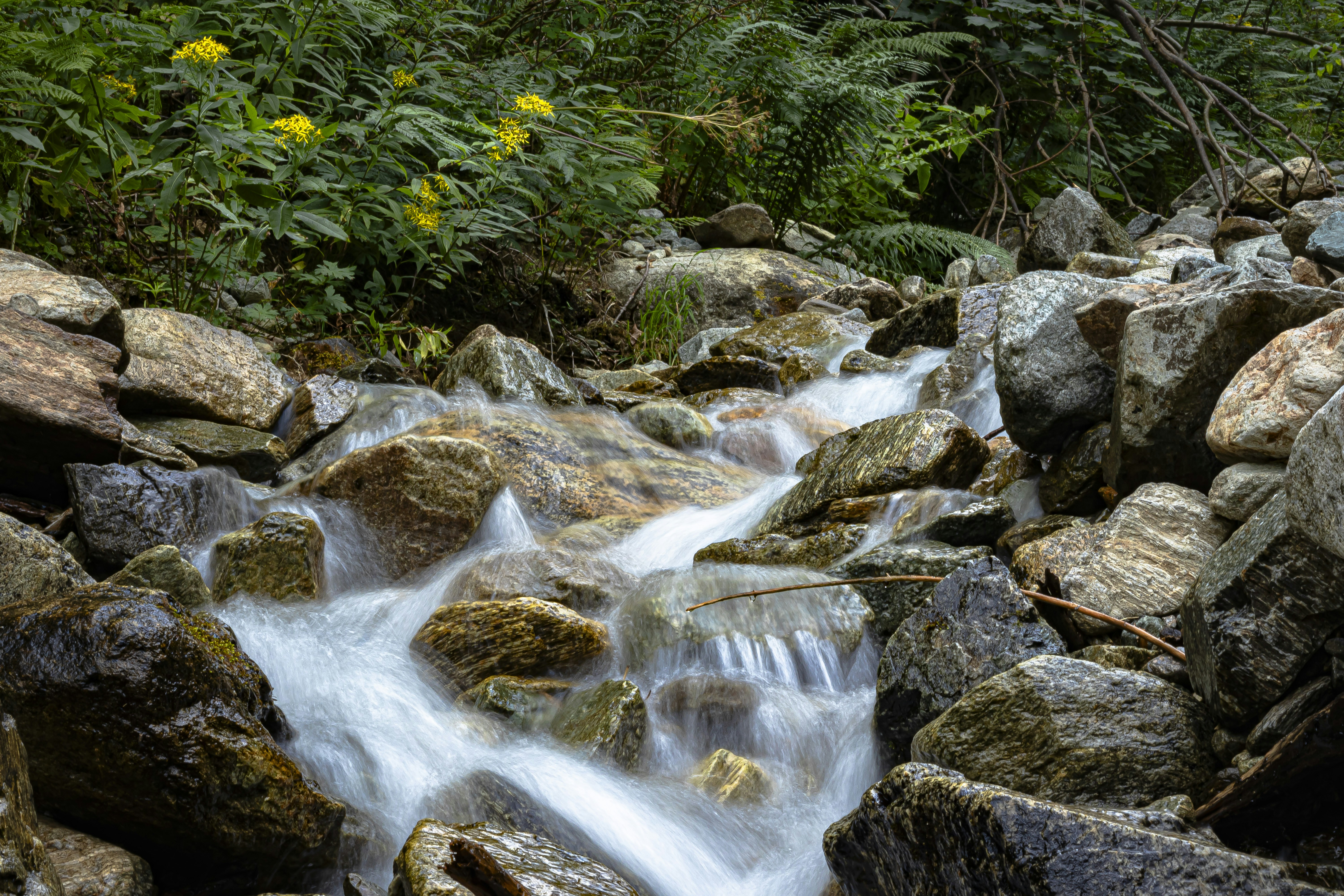 Photo by britosebastian