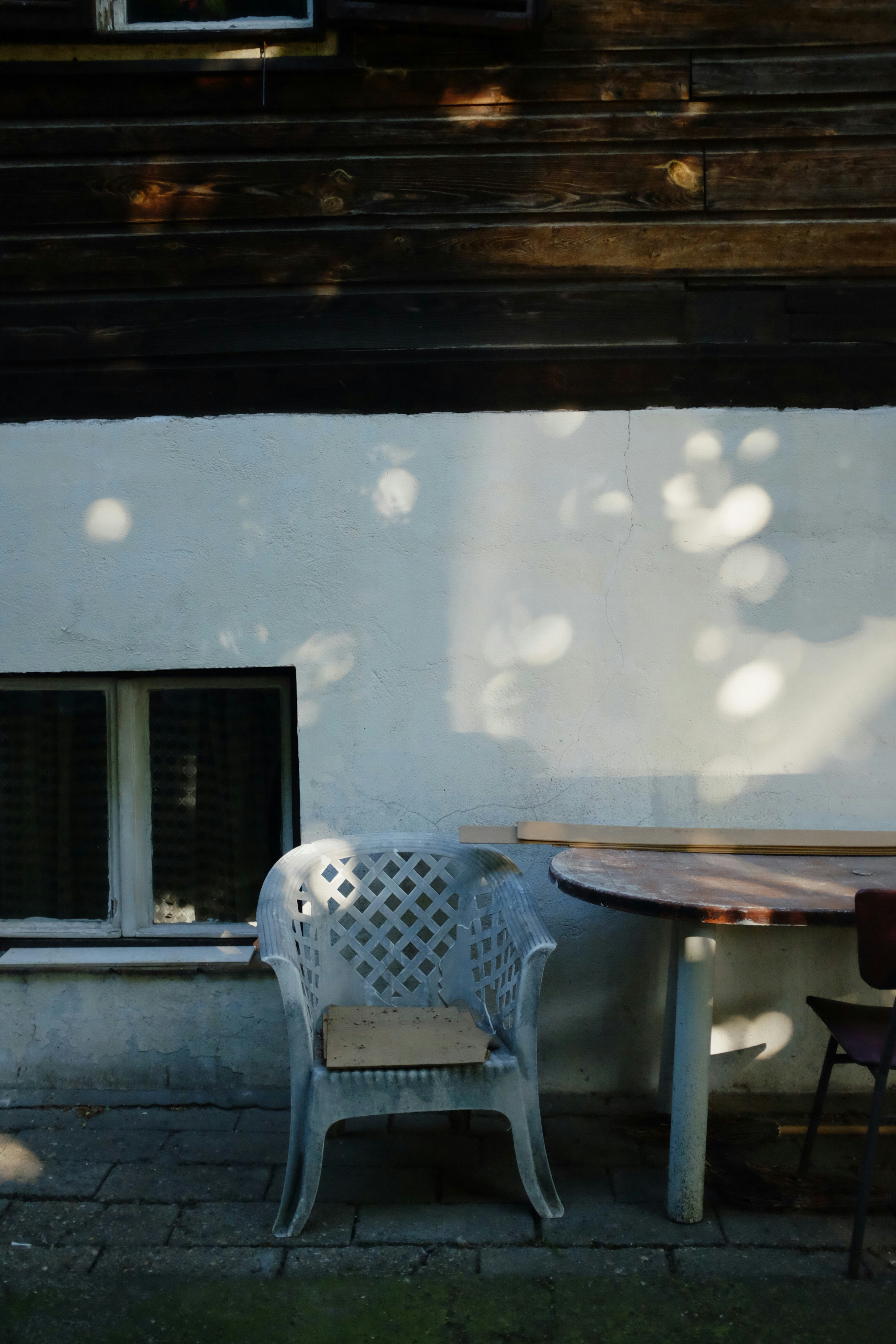 Photo by ignatkushanrev