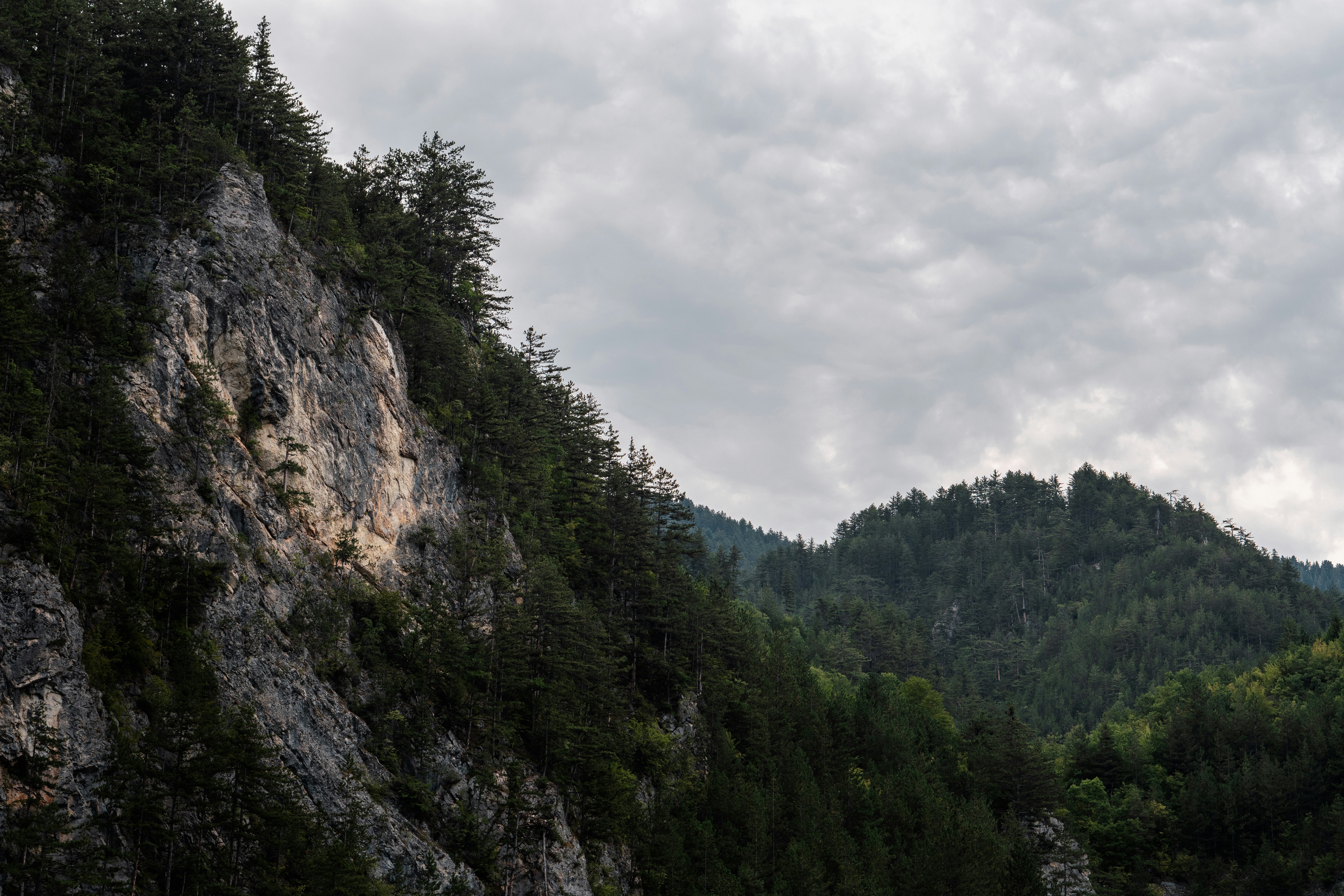 Photo by kristiqnspasov19