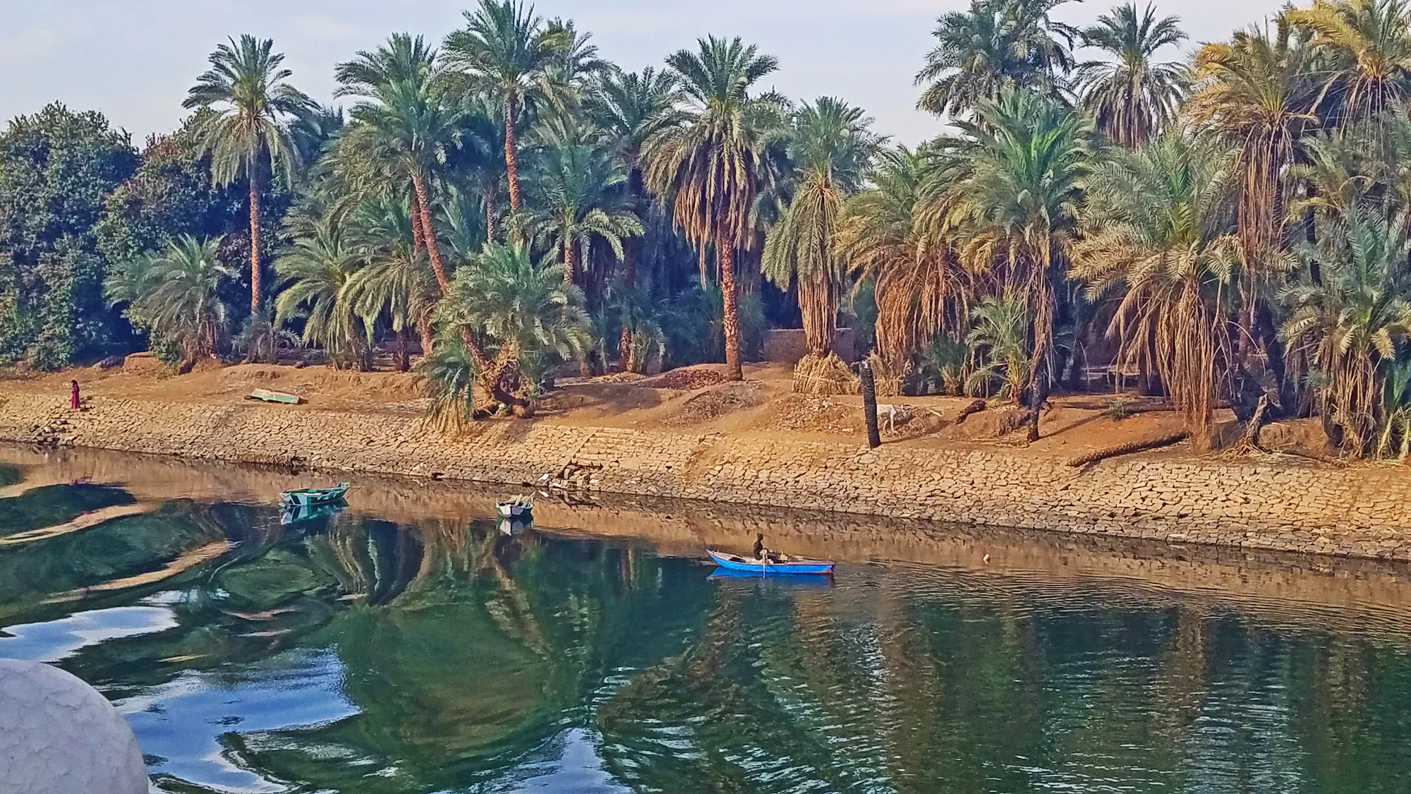 Le Nil bordé de palmiers en Égypte