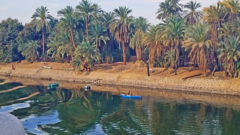 Le Nil bordé de palmiers en Égypte