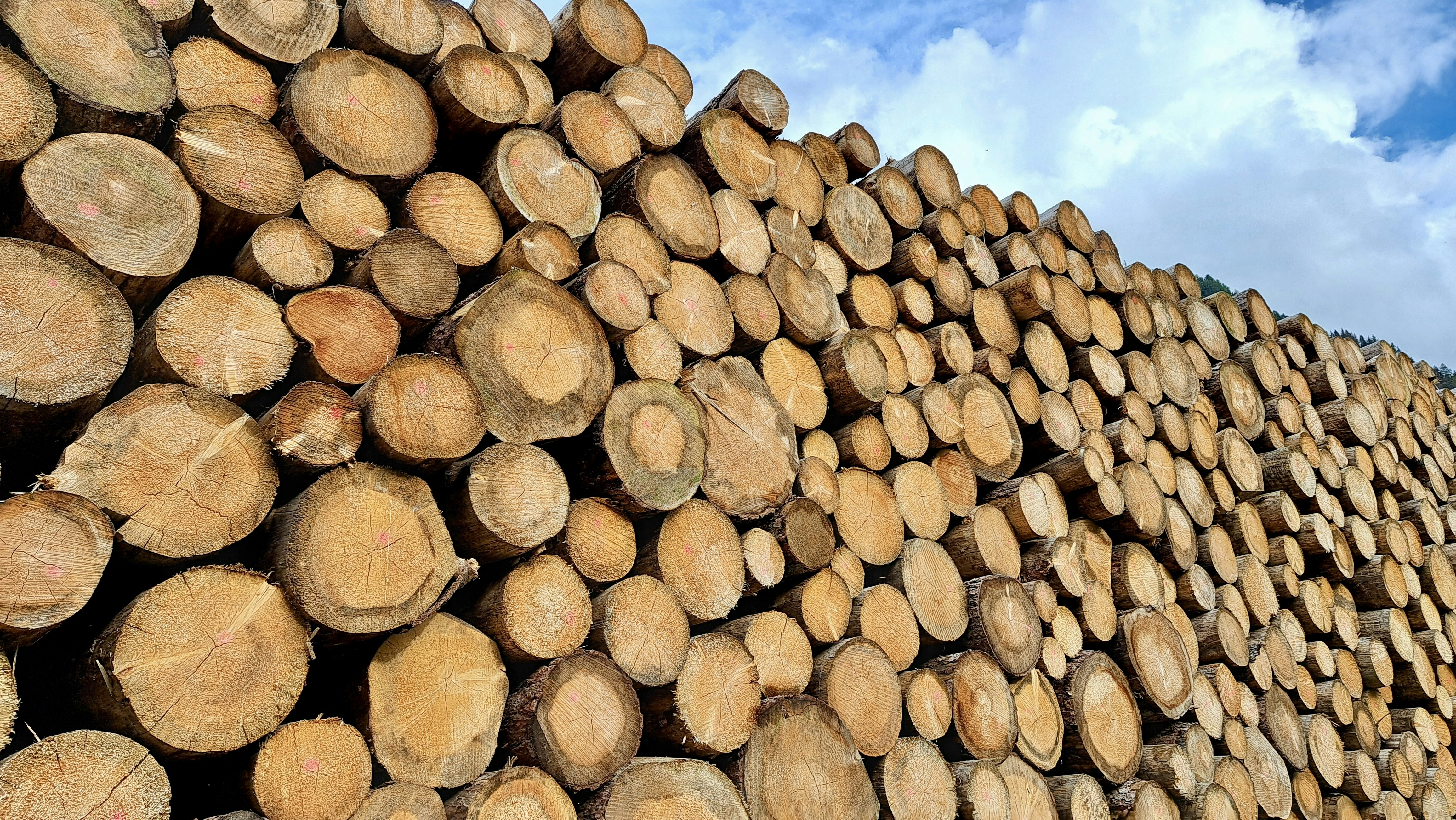9 Wood Pellet Fuel Production Efficiency Tips Explained