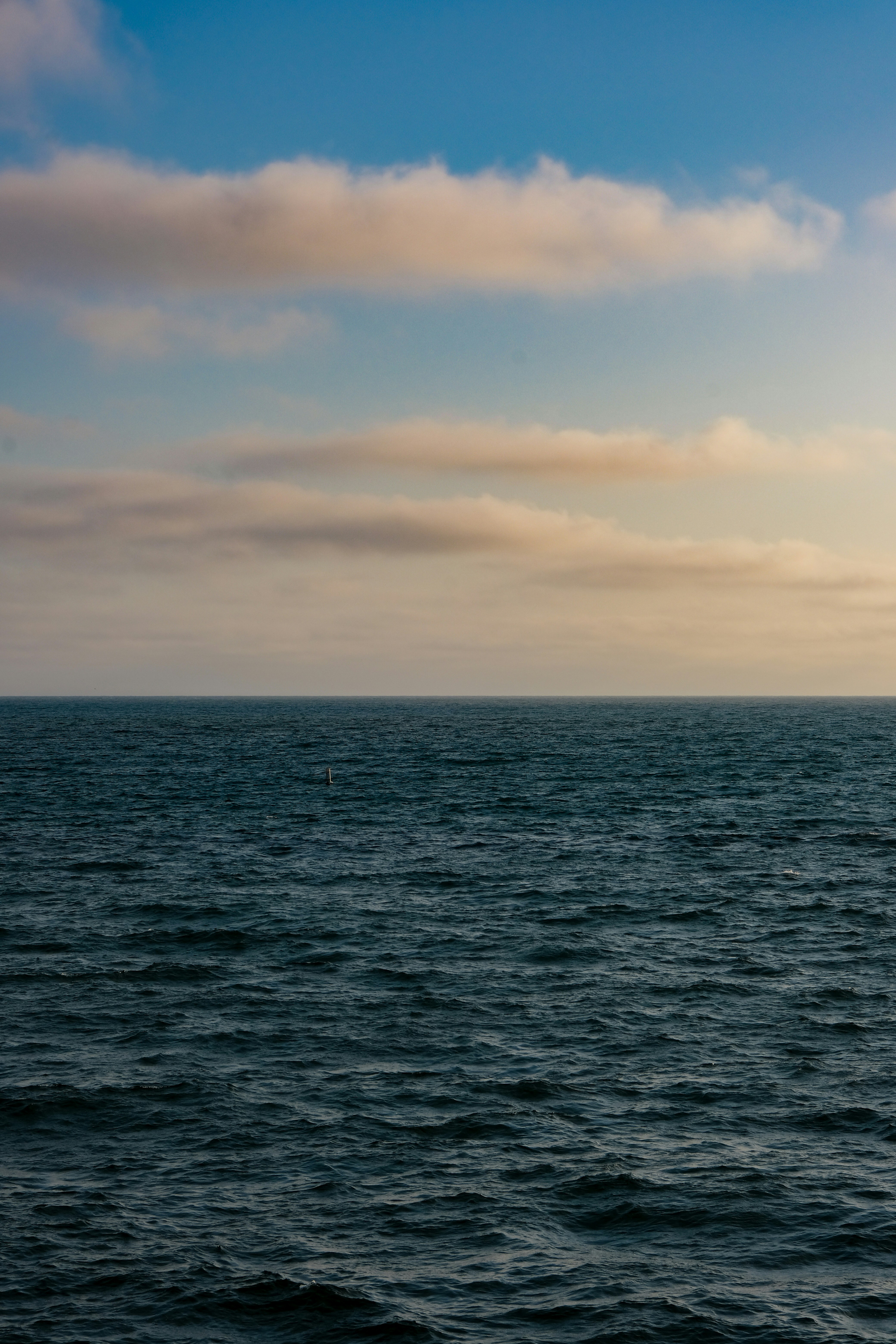 Photo by florian_randria