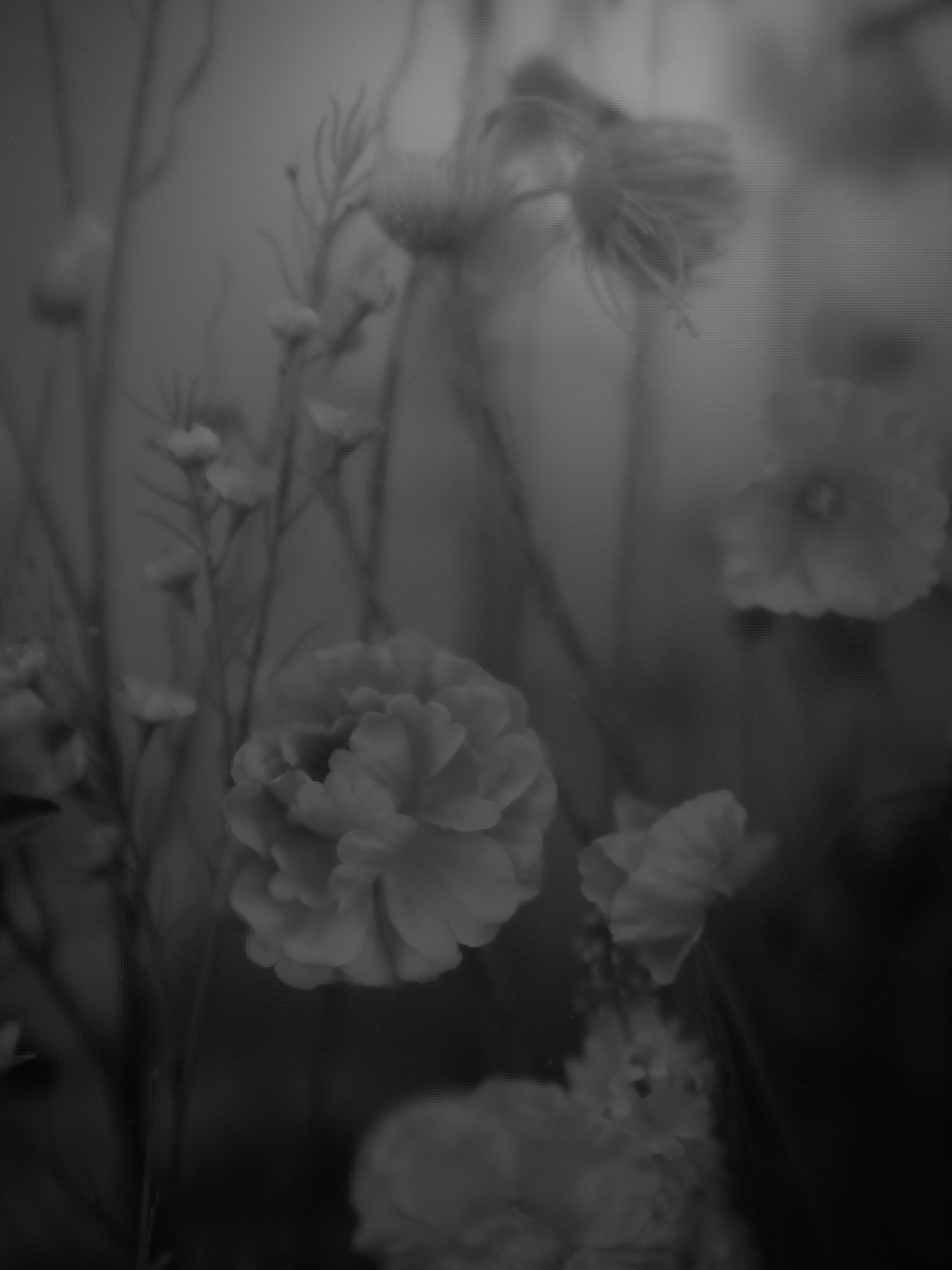 Photo by hieptltb97