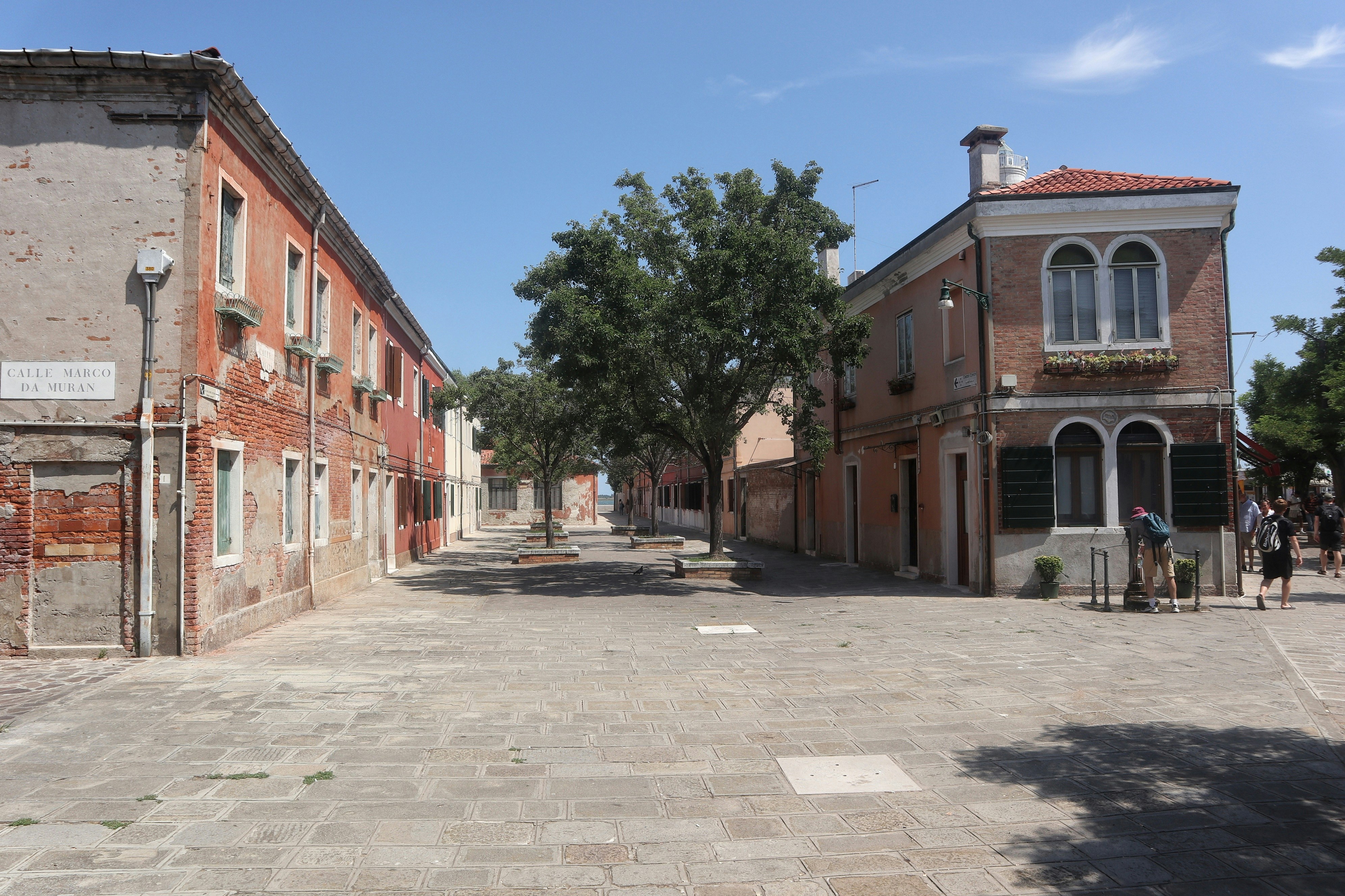 Photo by balint_miko