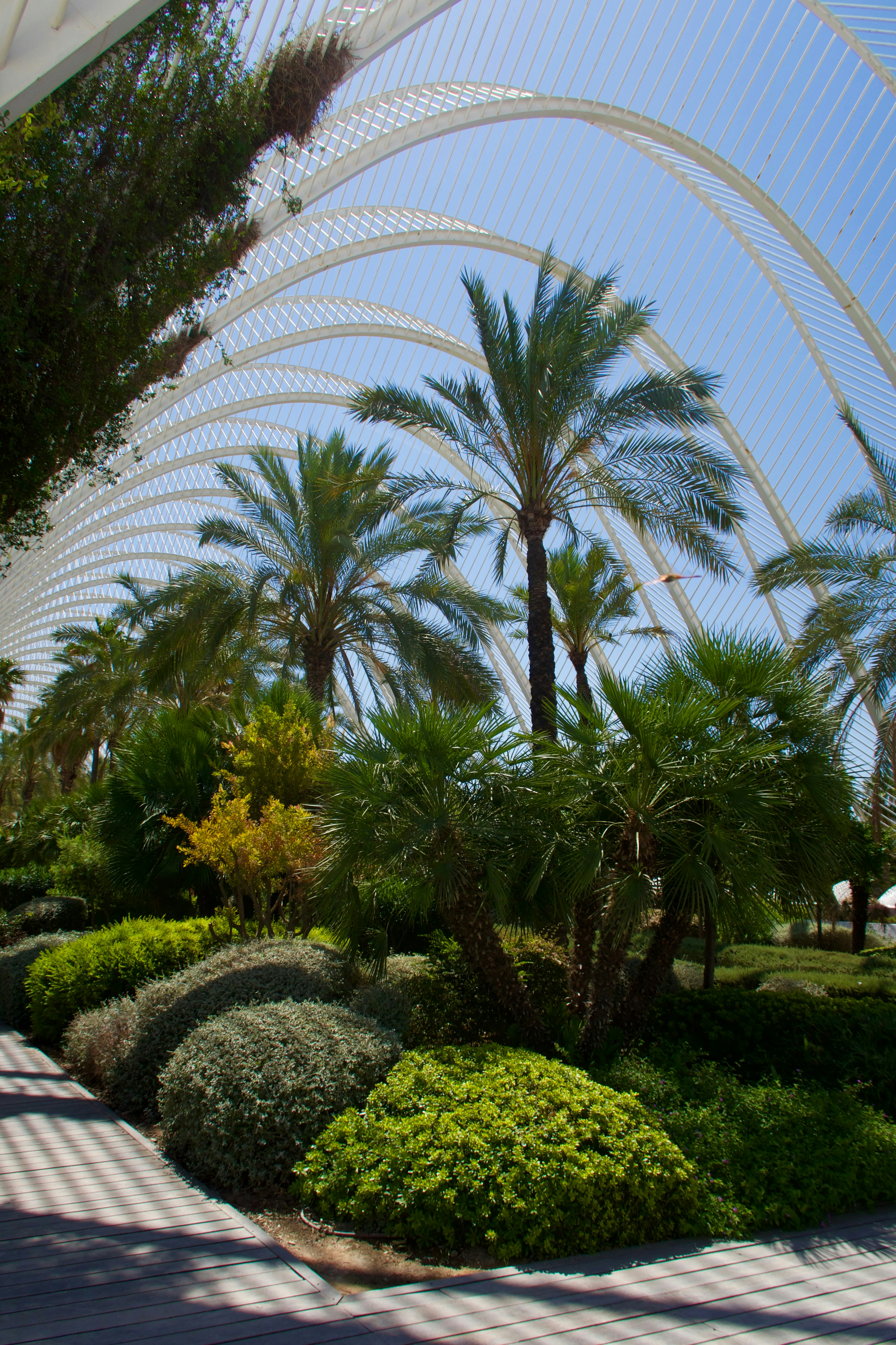 Photo by serainalarissa