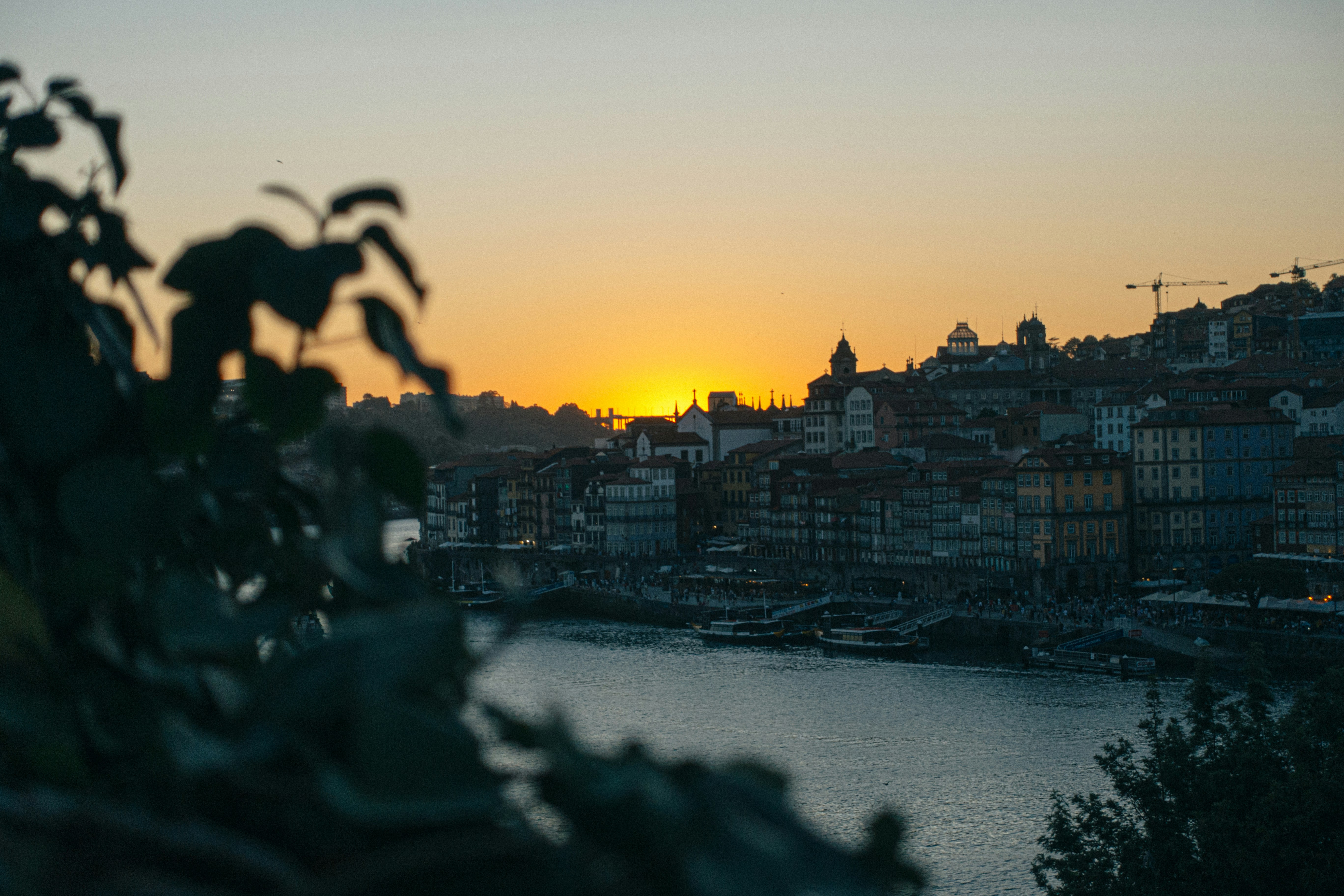 Photo by snapshot_journey