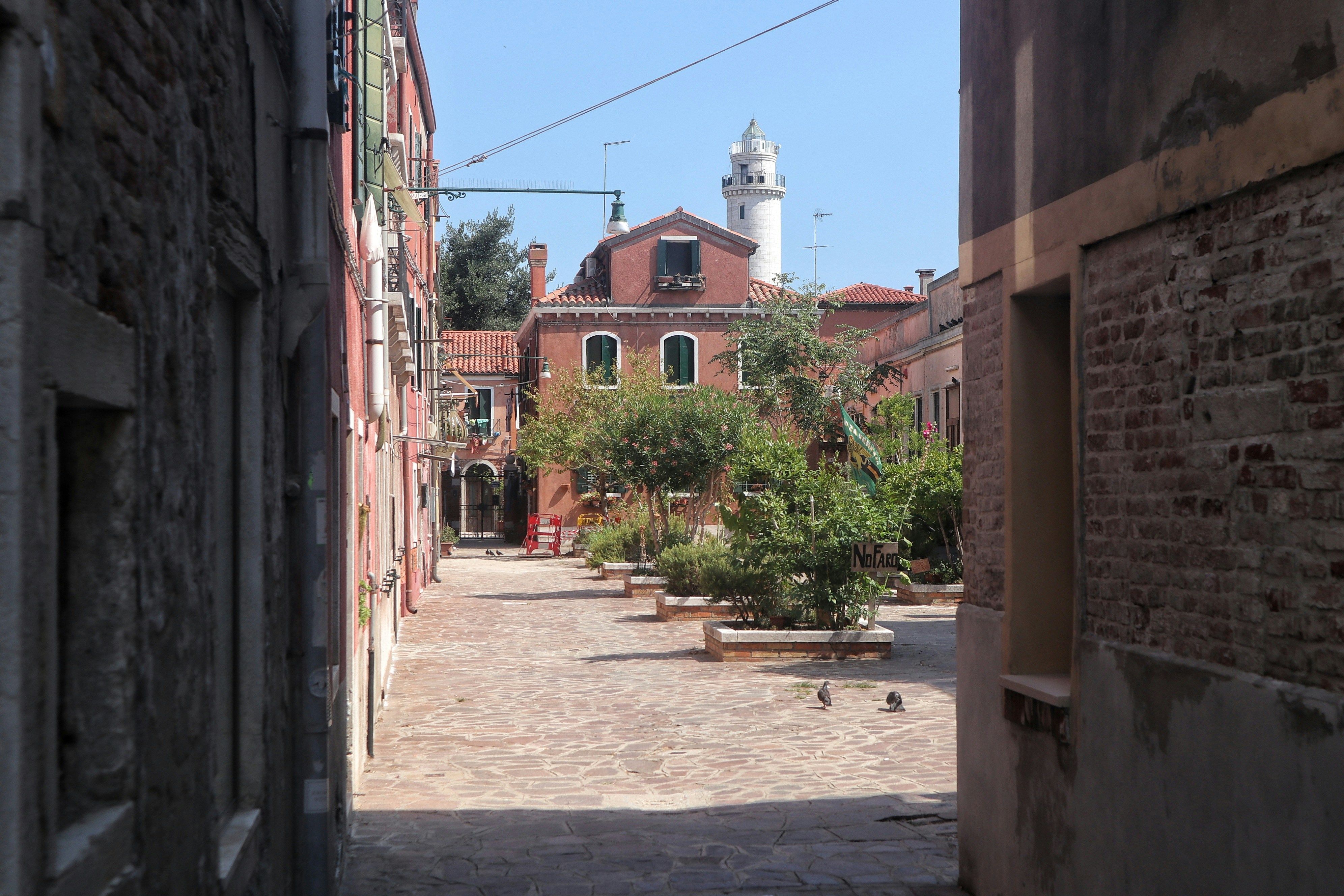 Photo by balint_miko