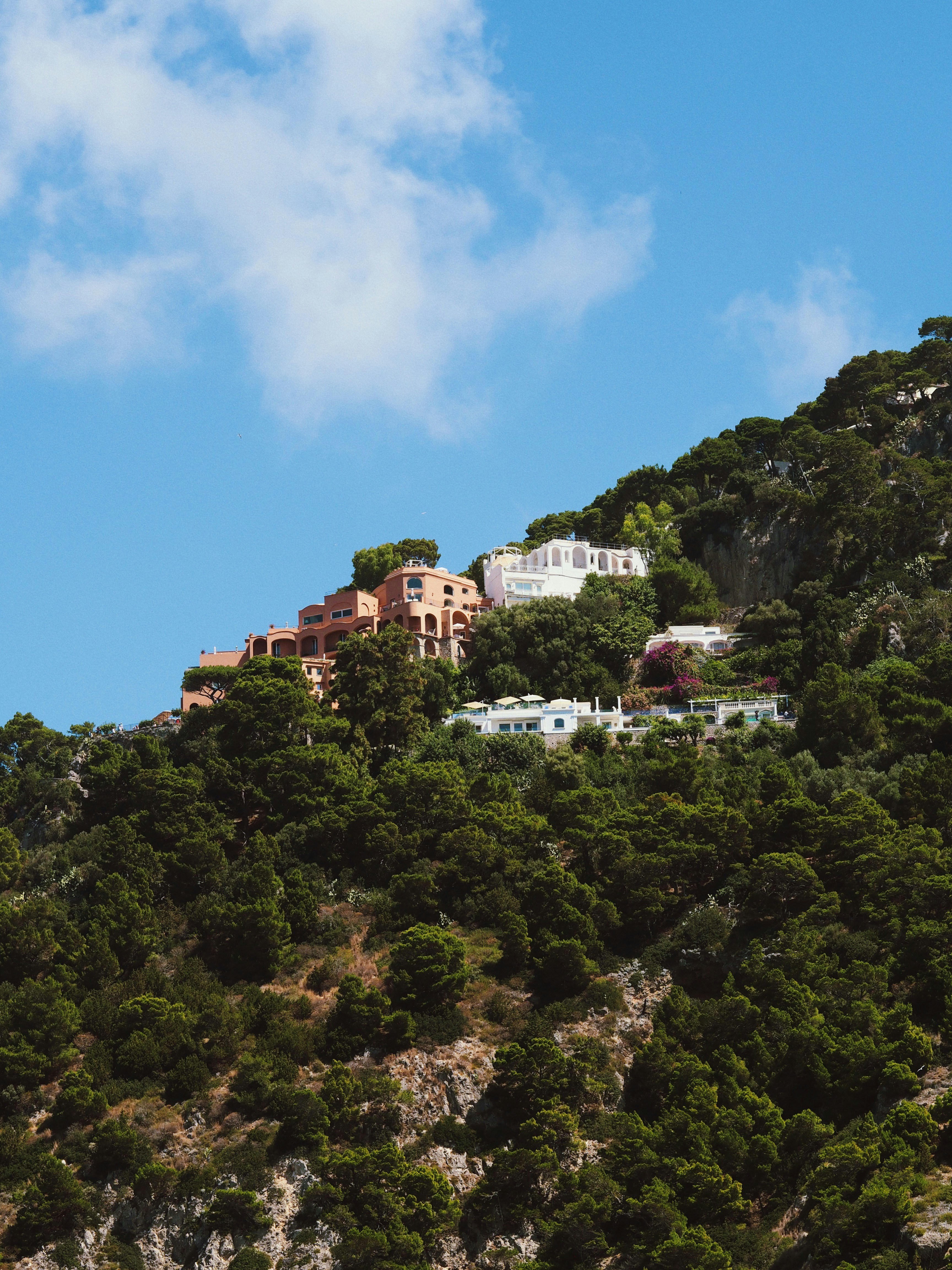 Photo by chloe_lefleur