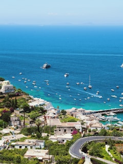 A large body of water filled with lots of boats