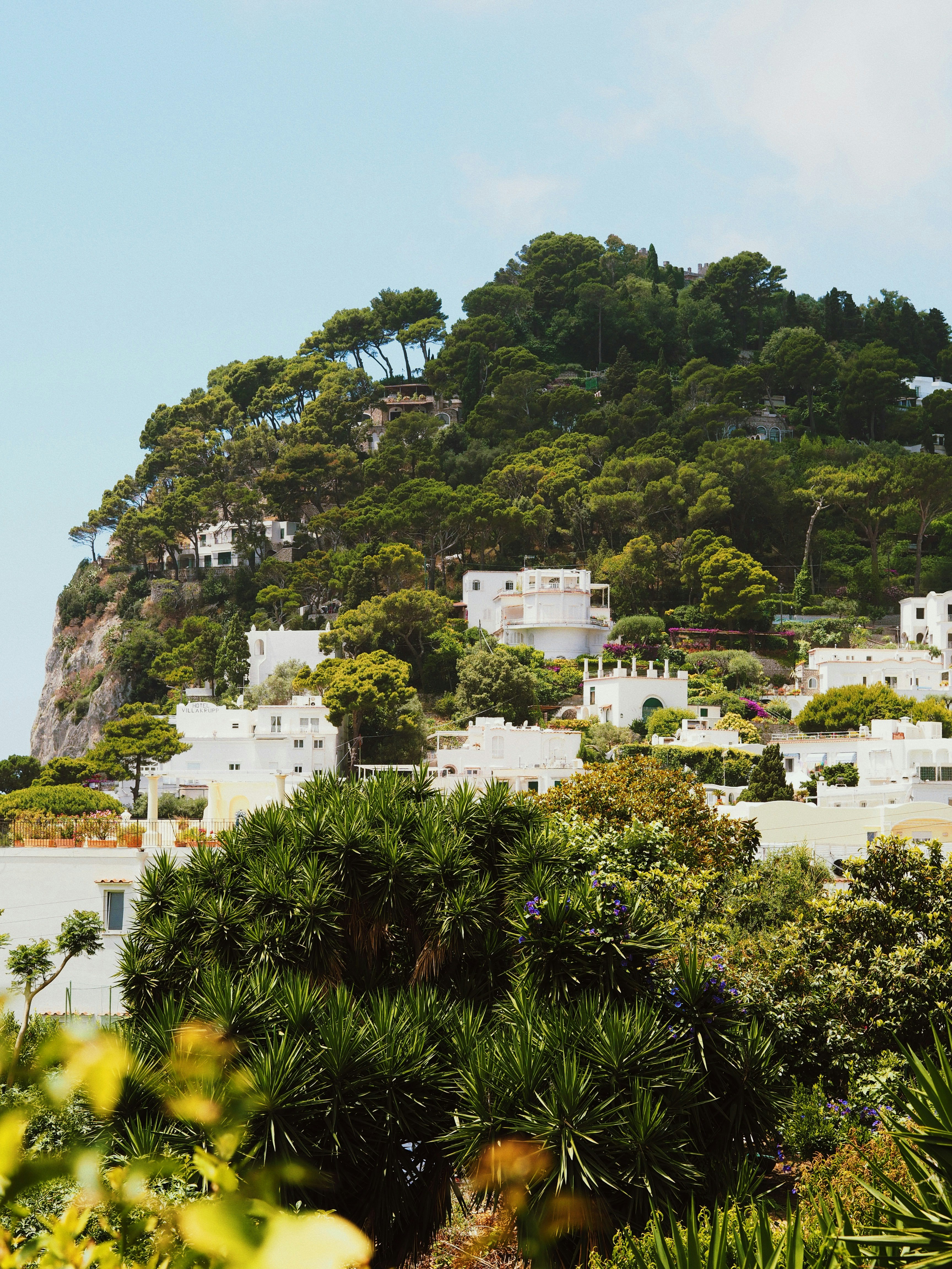 Photo by chloe_lefleur