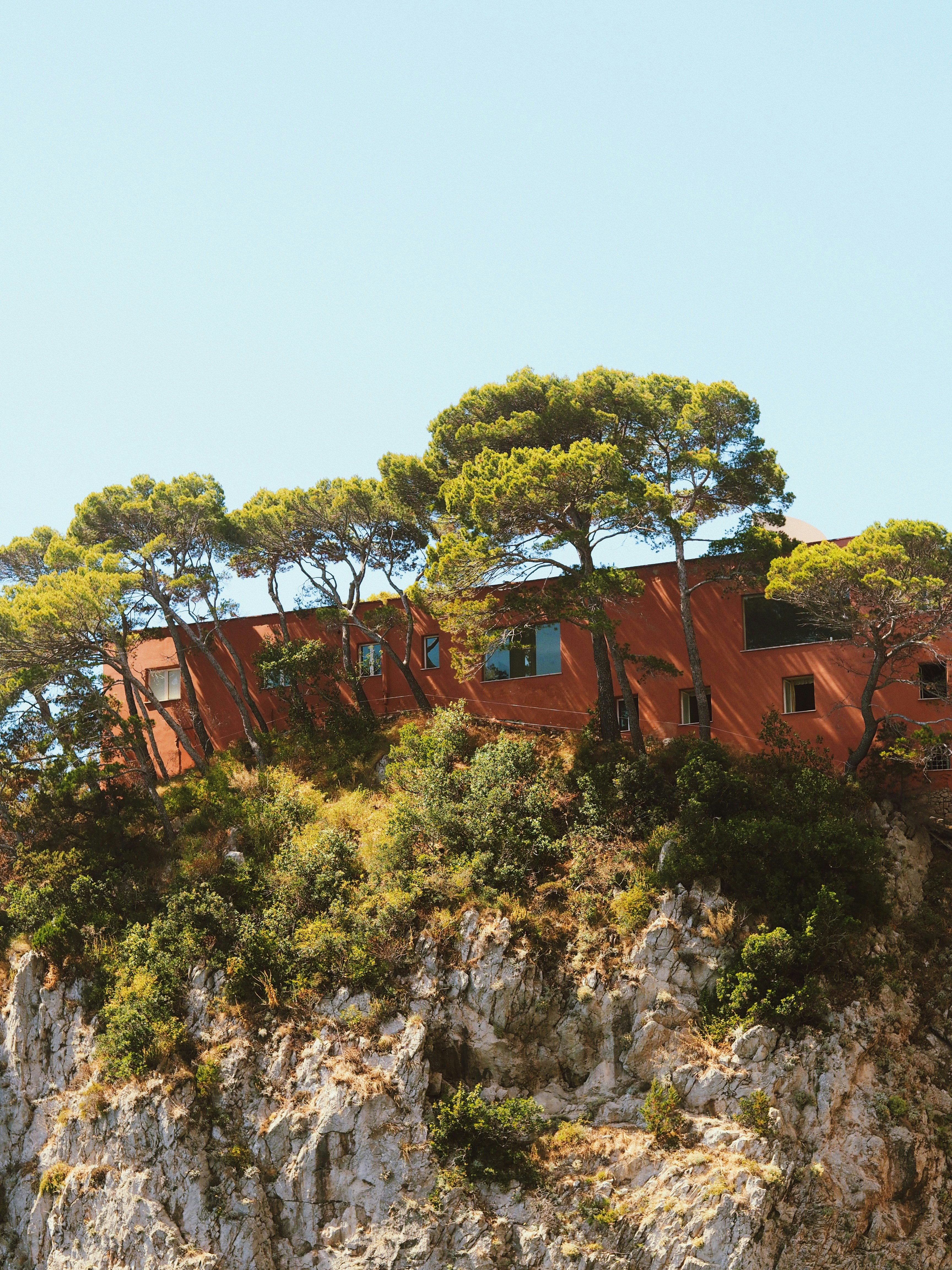 A house on top of a mountain with trees growing out of it