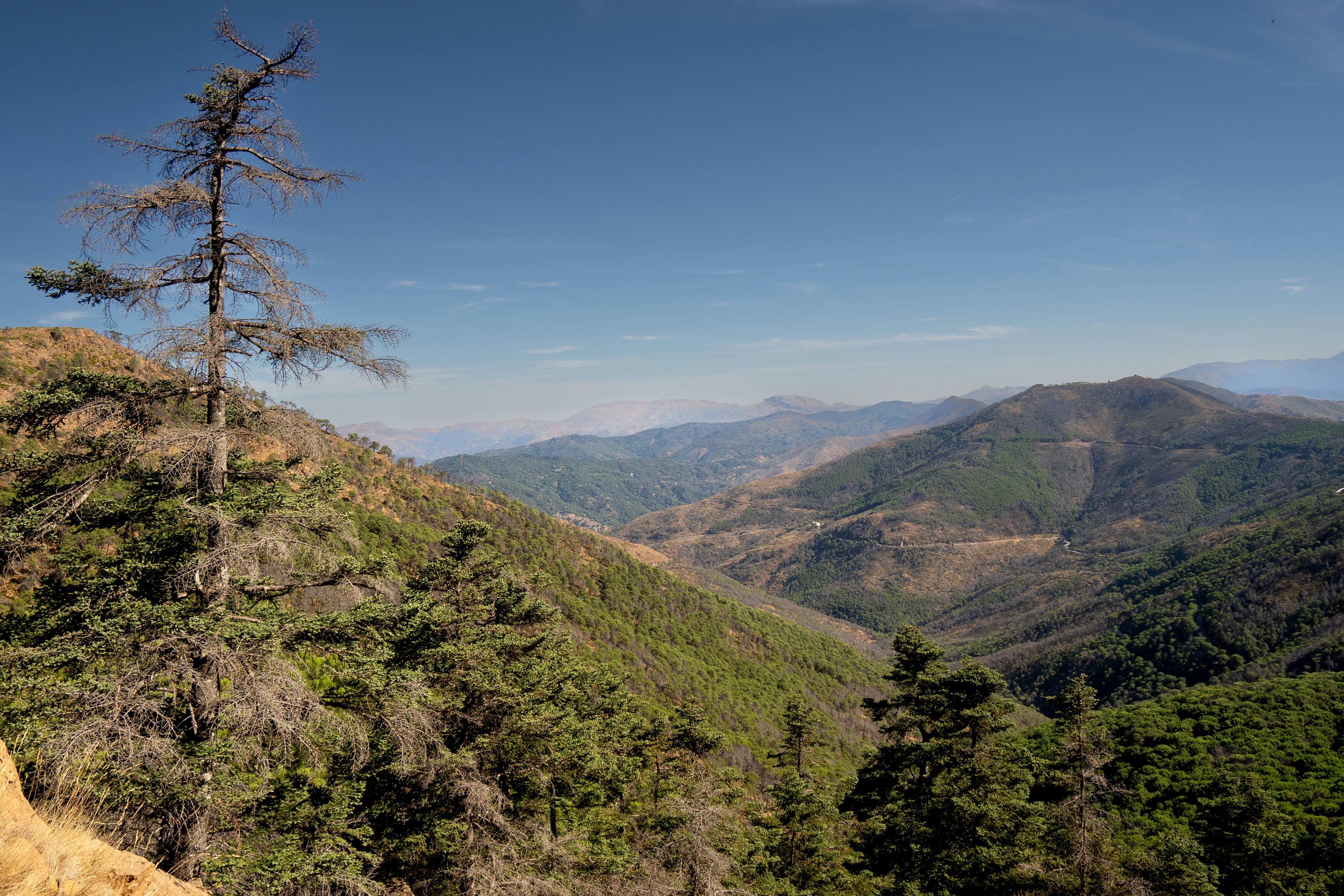 Photo by borjaverbena