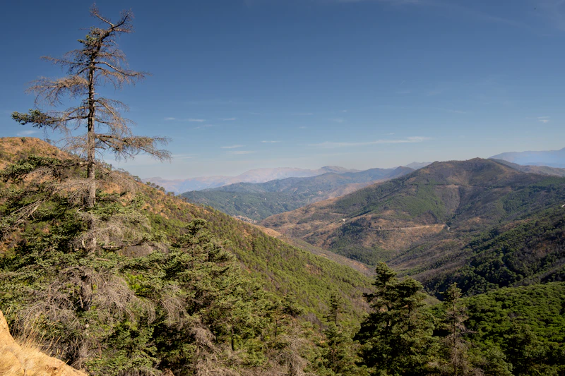 Garganta Verde y Pinsapar