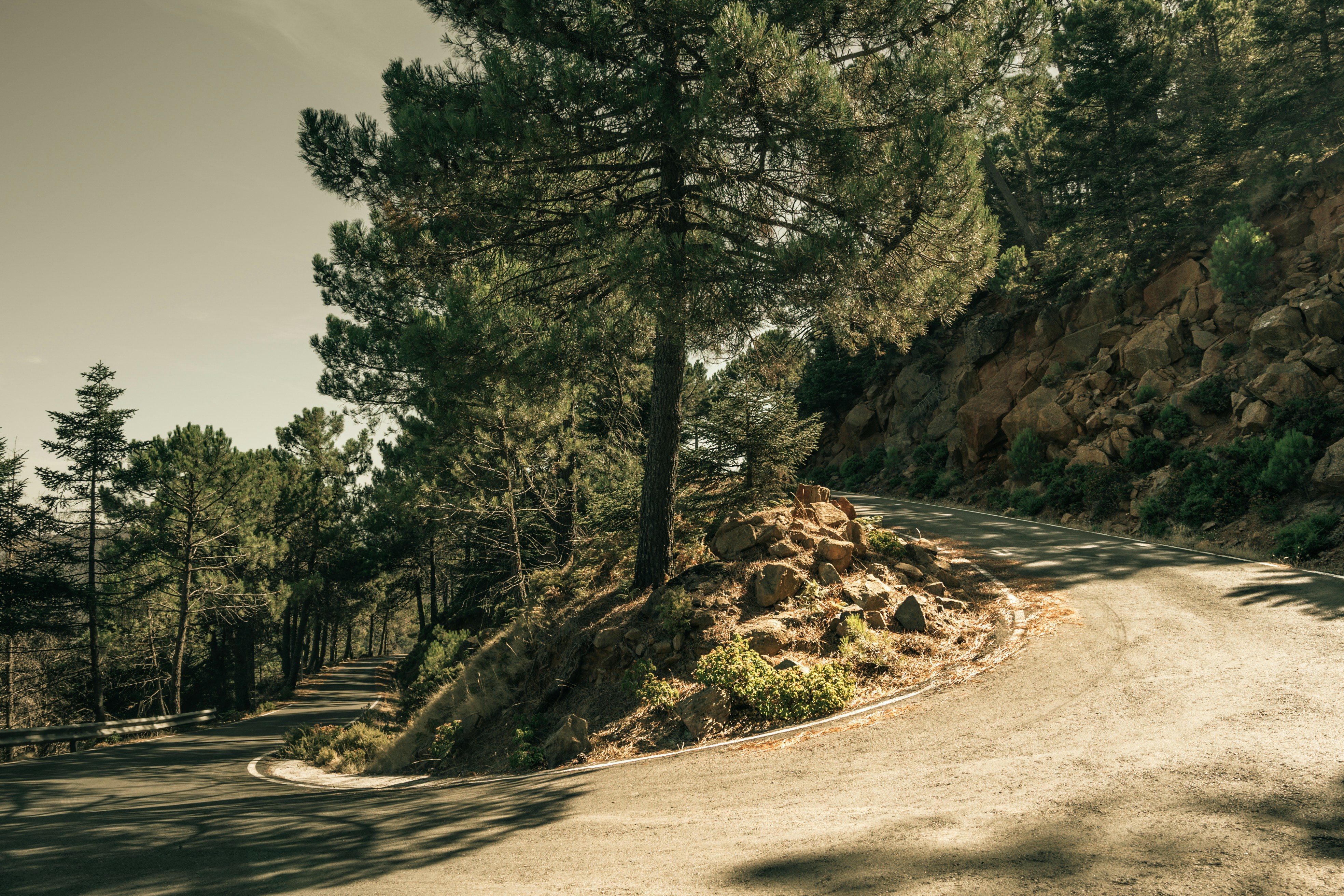 Photo by borjaverbena