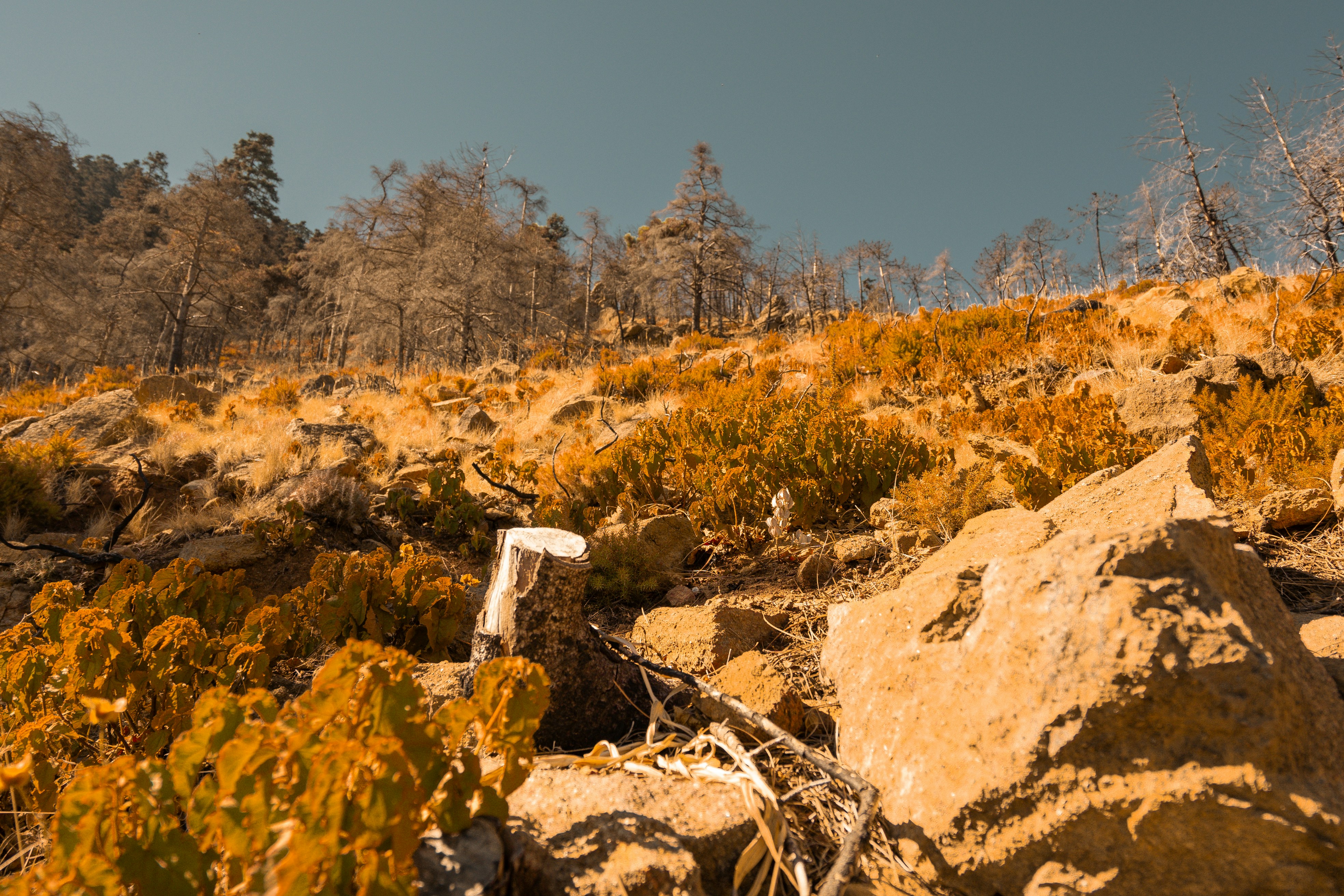 Photo by borjaverbena