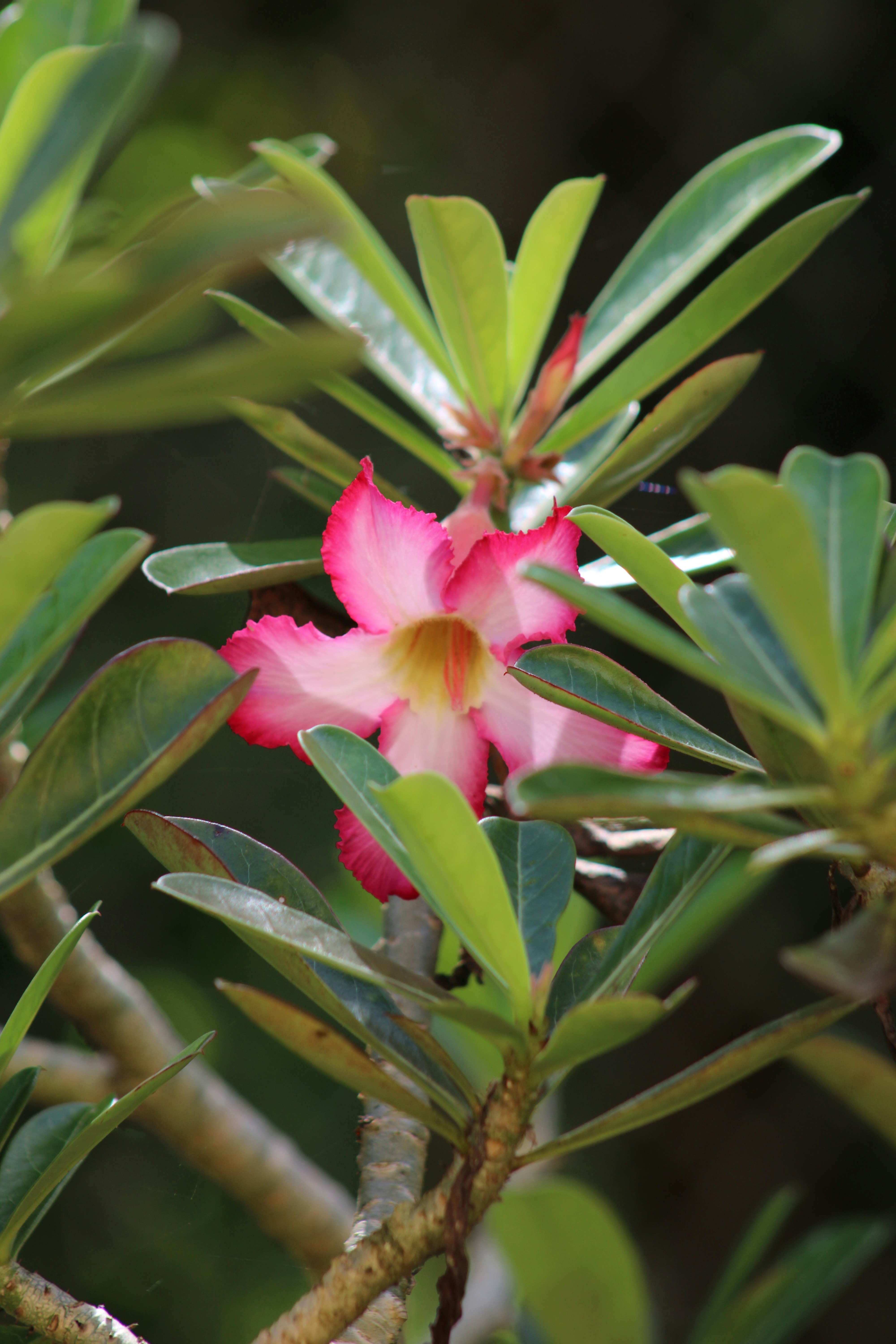 Photo by loaizaperez