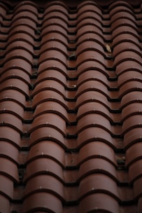 A close up of a roof made of clay tiles