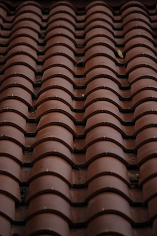 A close up of a roof made of clay tiles