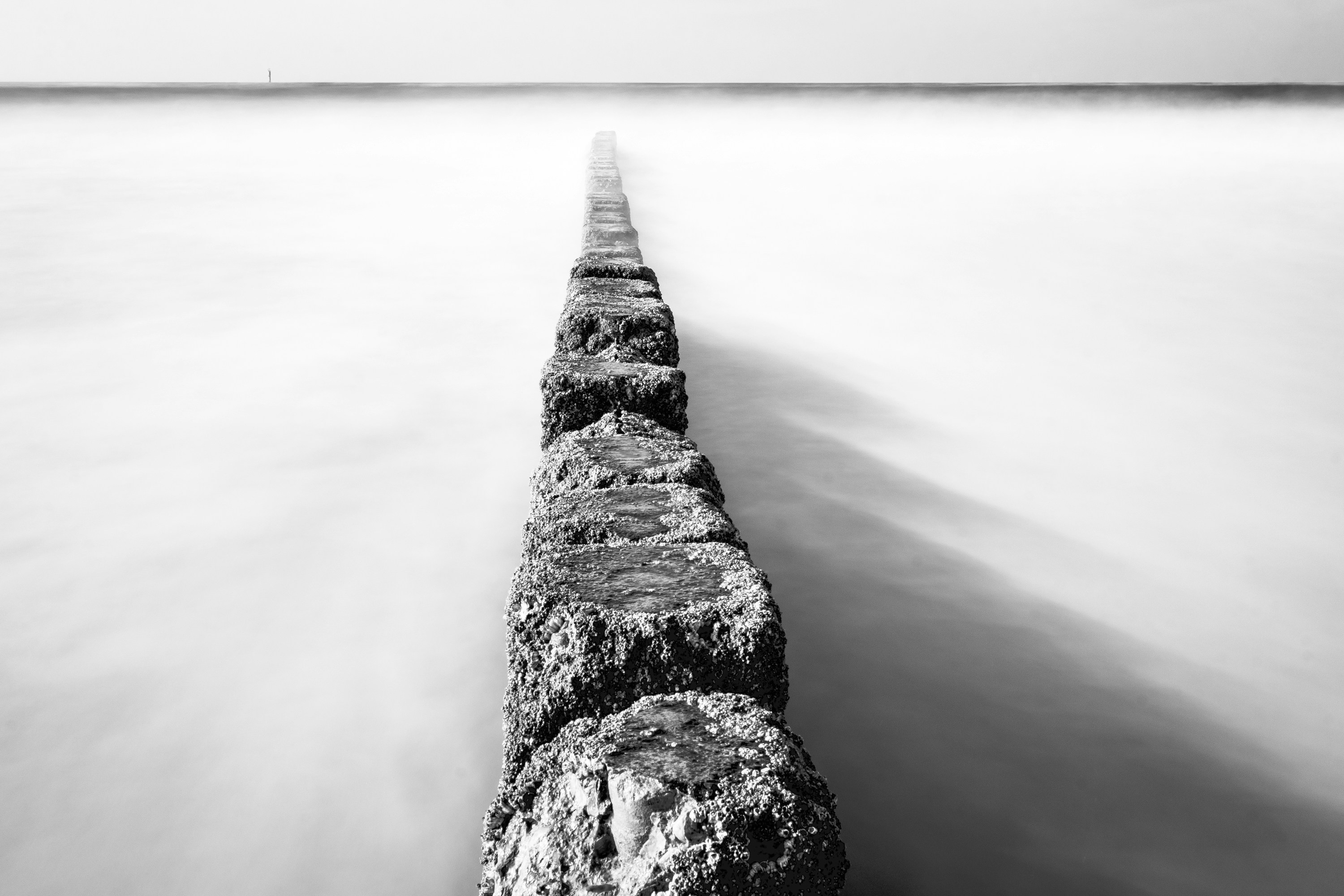 Photo by marvinradke