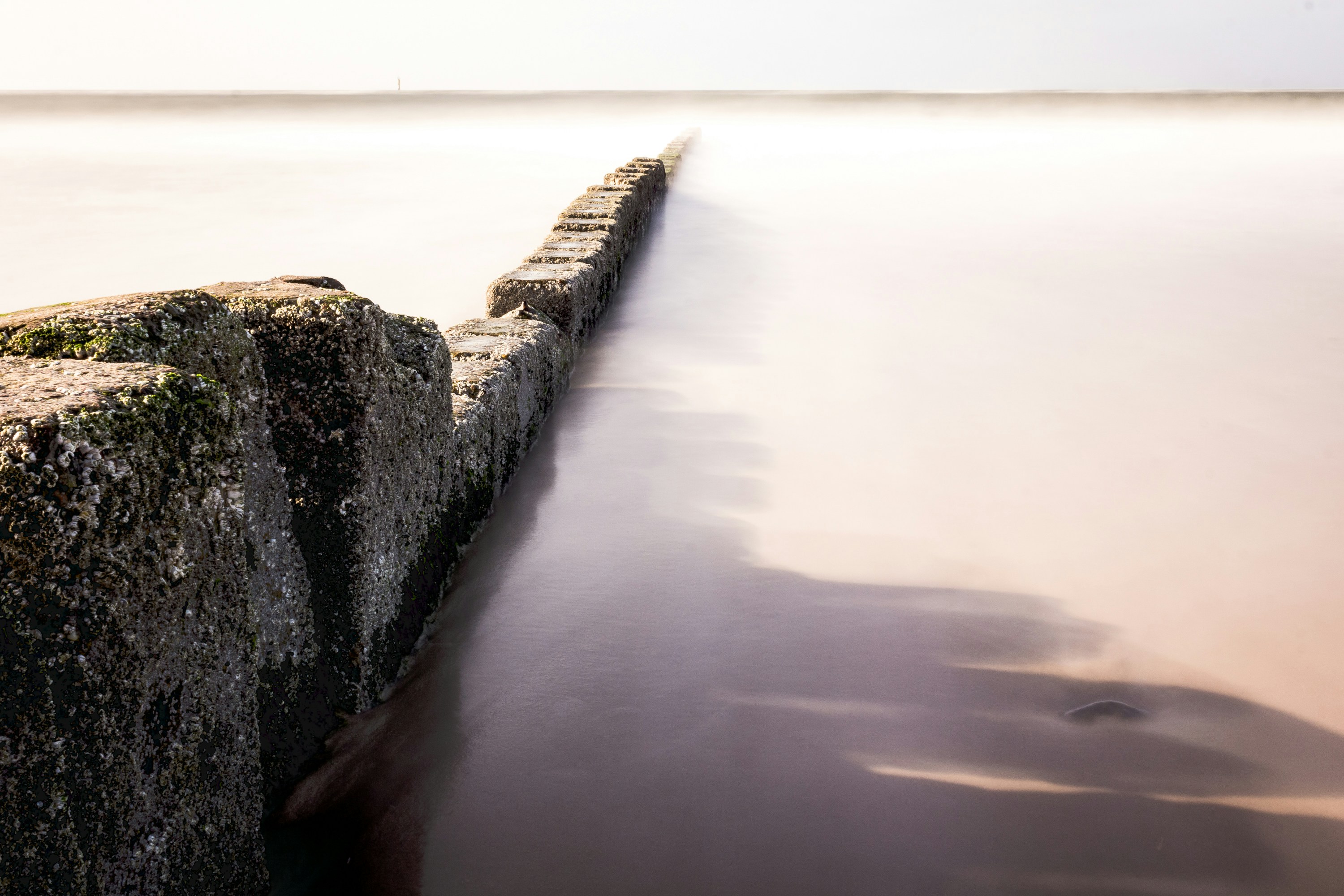 Photo by marvinradke