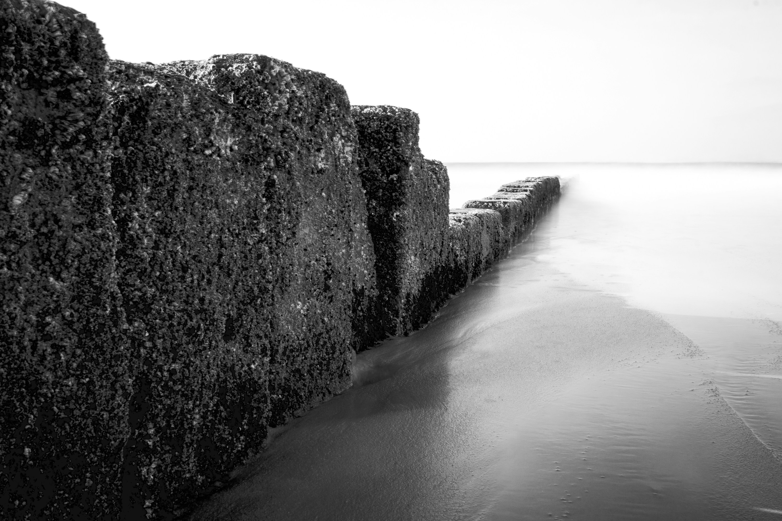 Photo by marvinradke