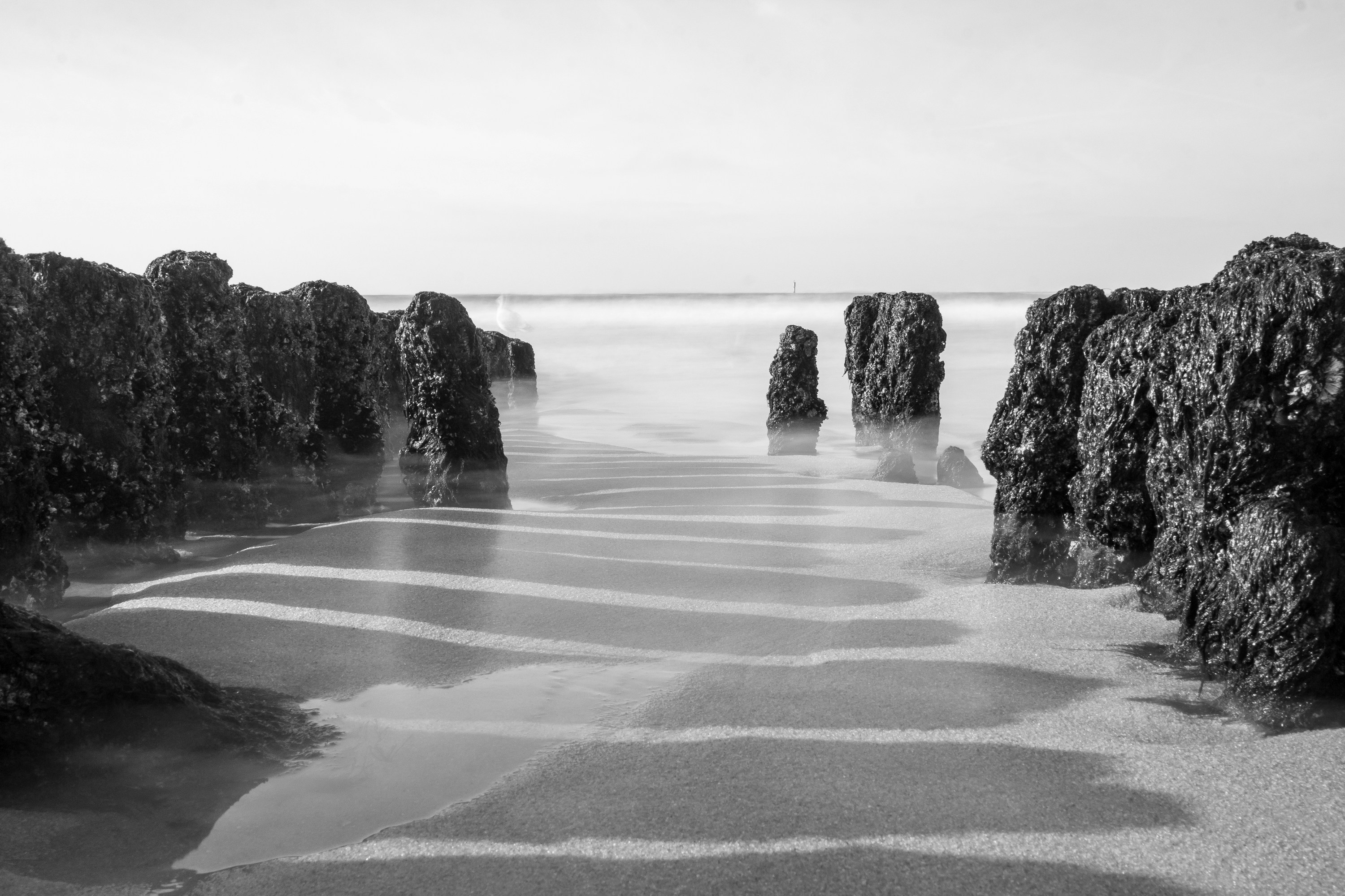 Photo by marvinradke