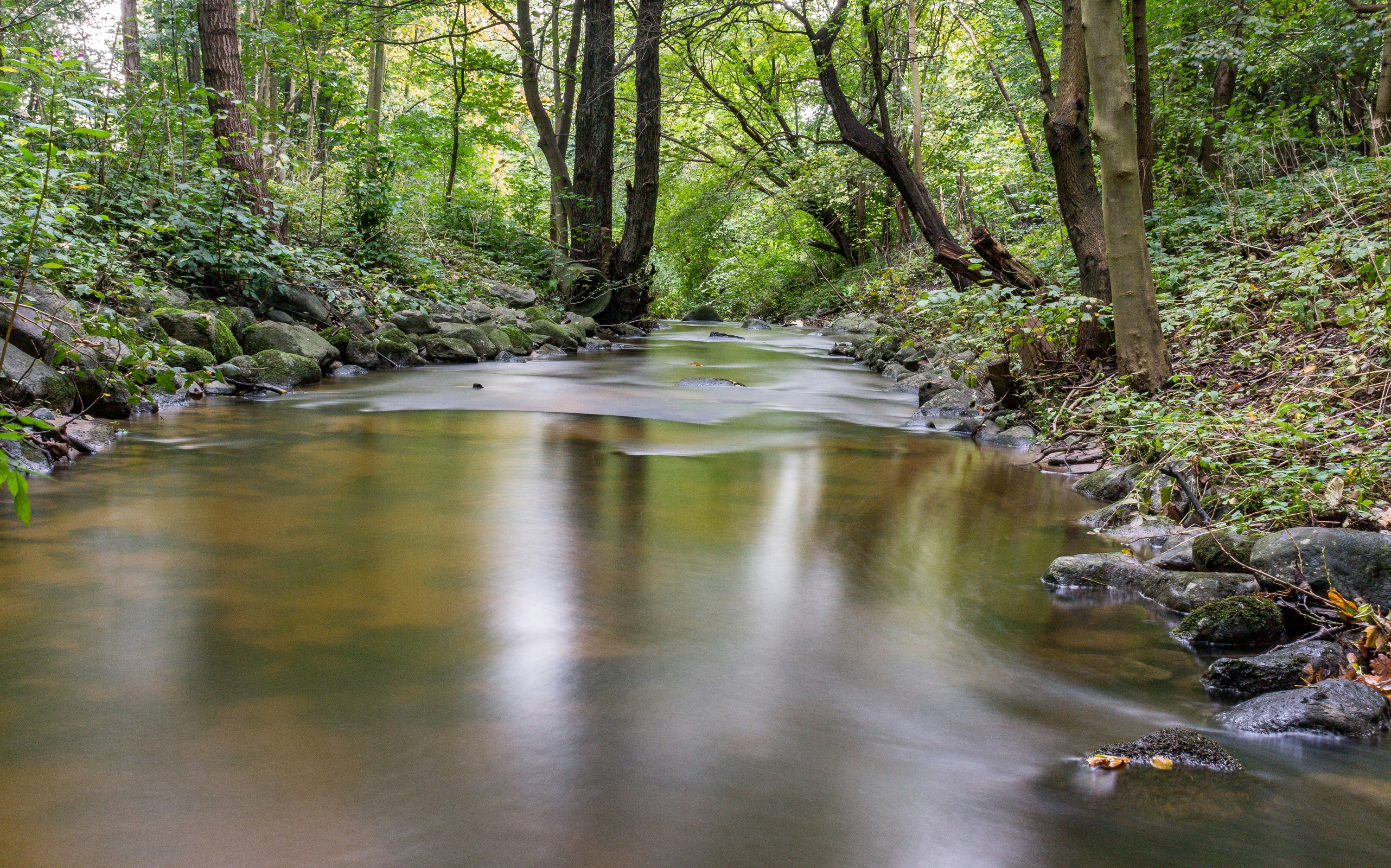 Photo by marvinradke