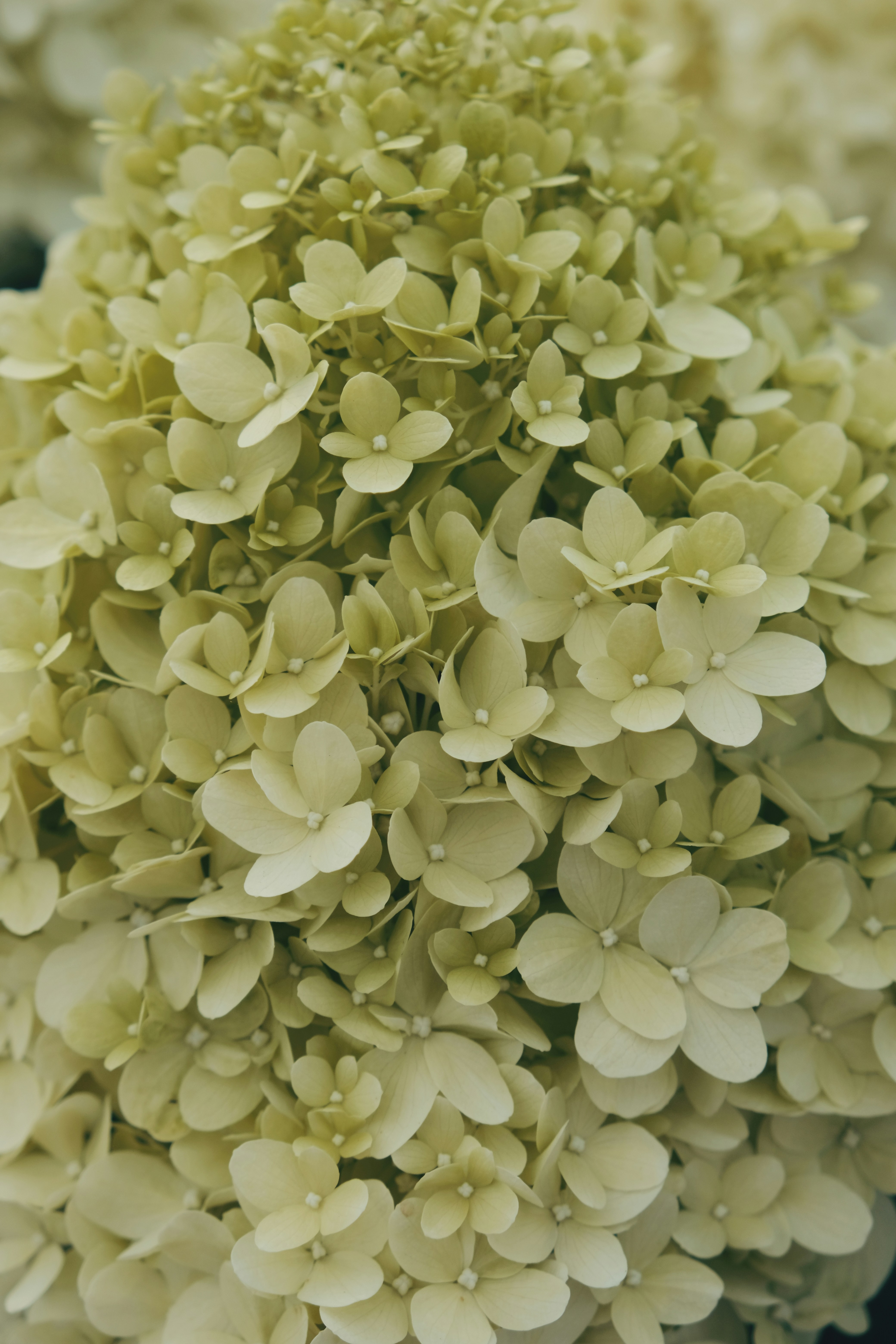 Photo by mehmetdemiral