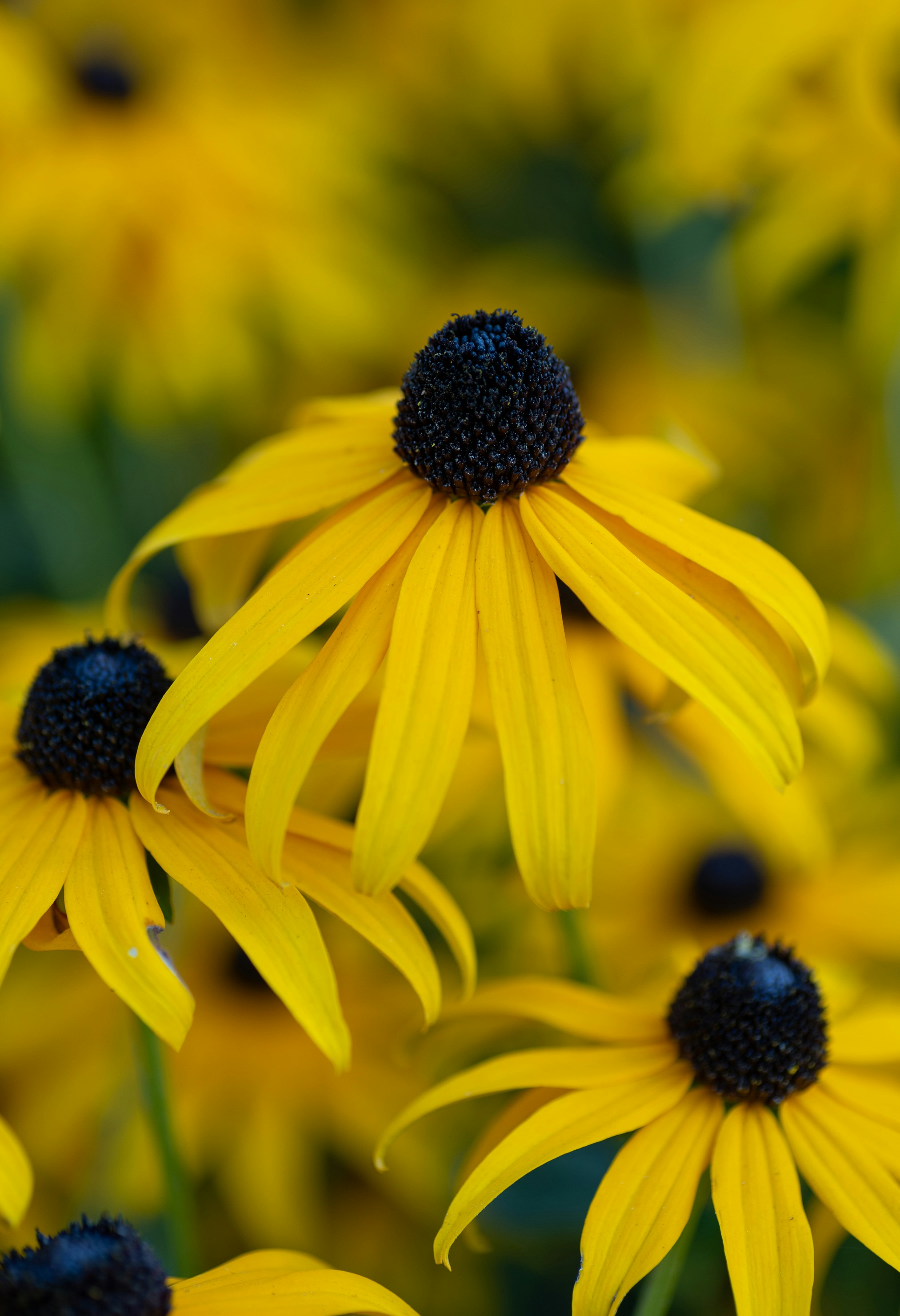 Photo by renatakneedham