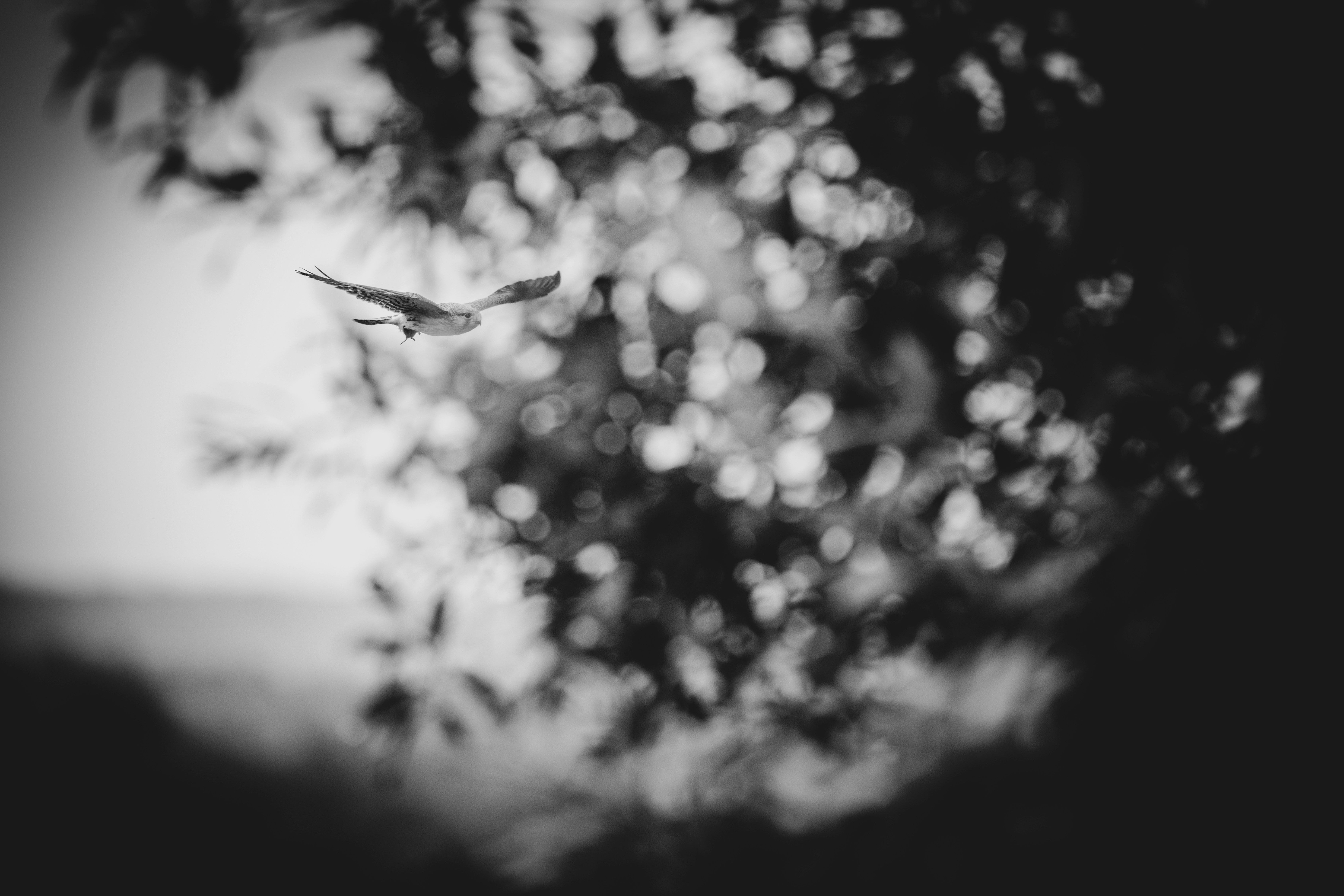 Photo by andreystrizhkov