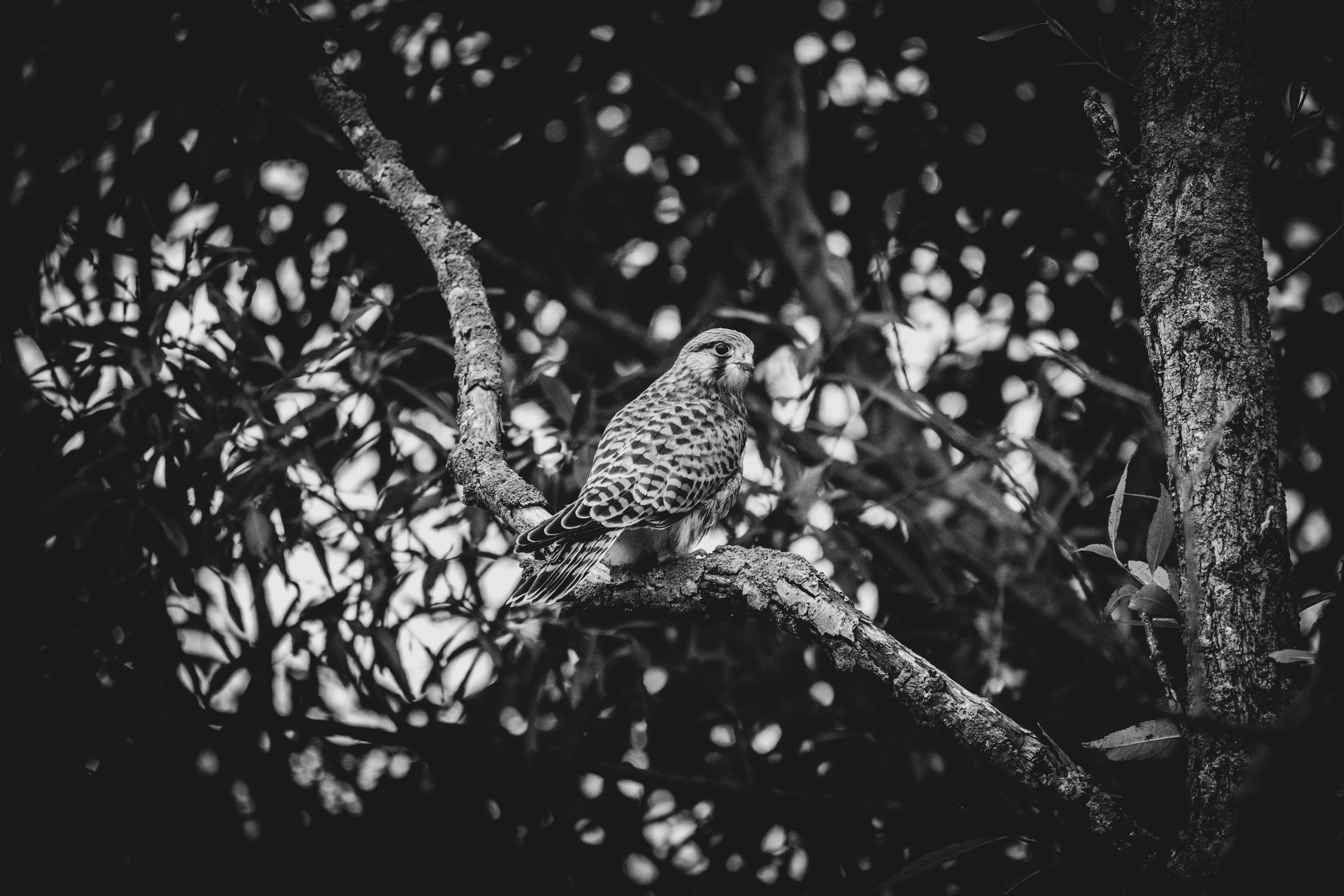 Photo by andreystrizhkov