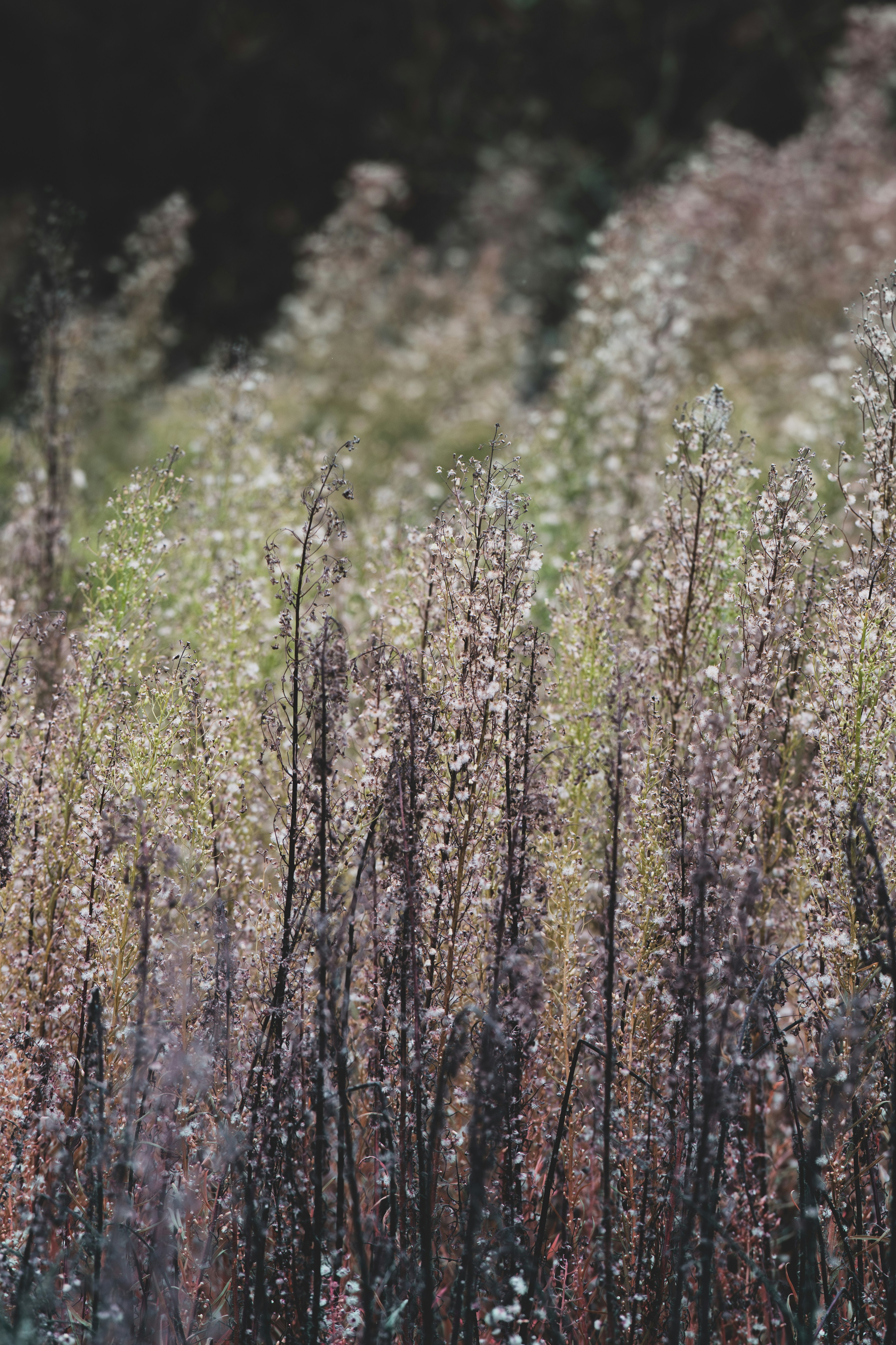 Photo by andreystrizhkov